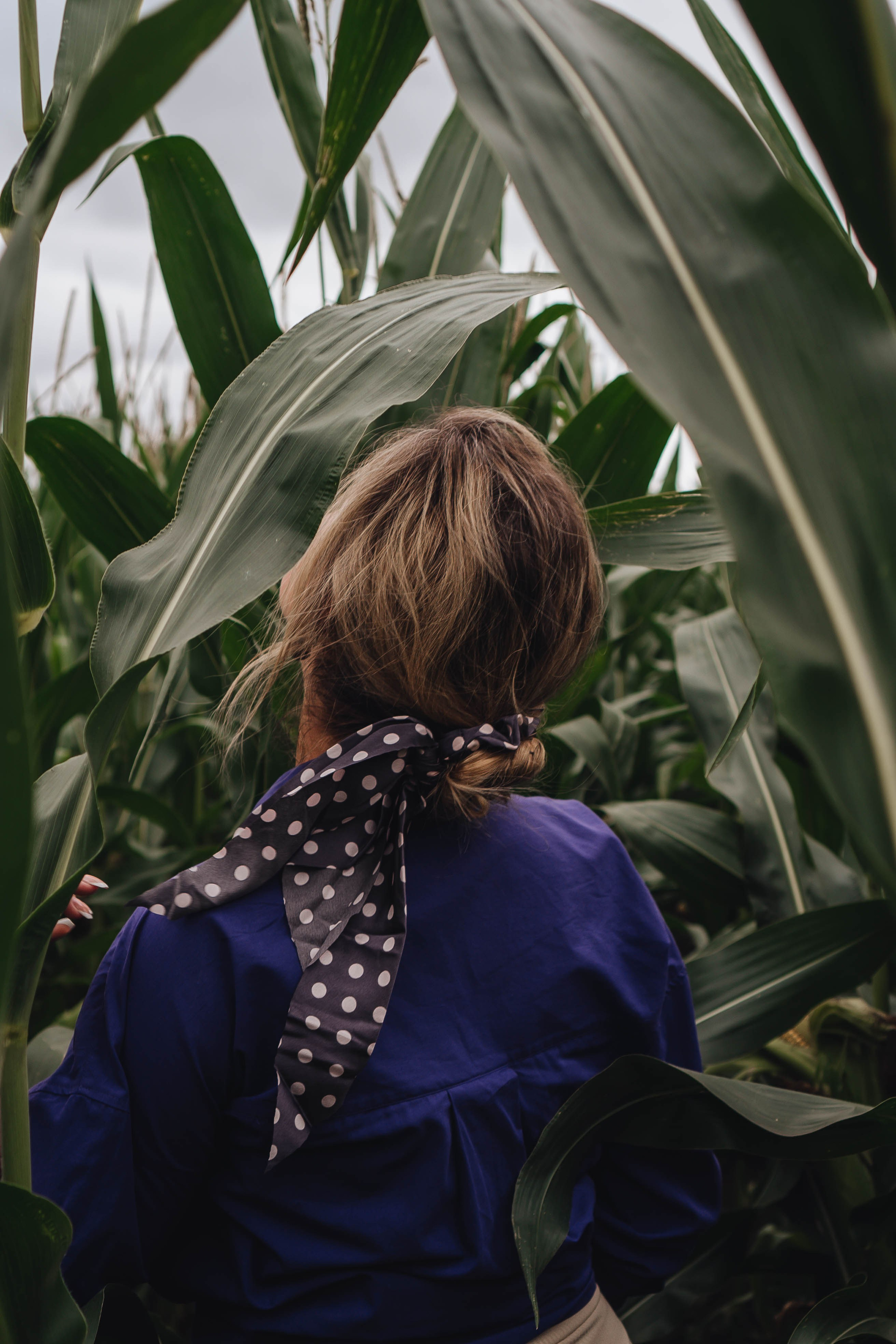 Фотосессия в поле. Профессиональный фотограф, Санкт-Петербург — Виктория Богомолова