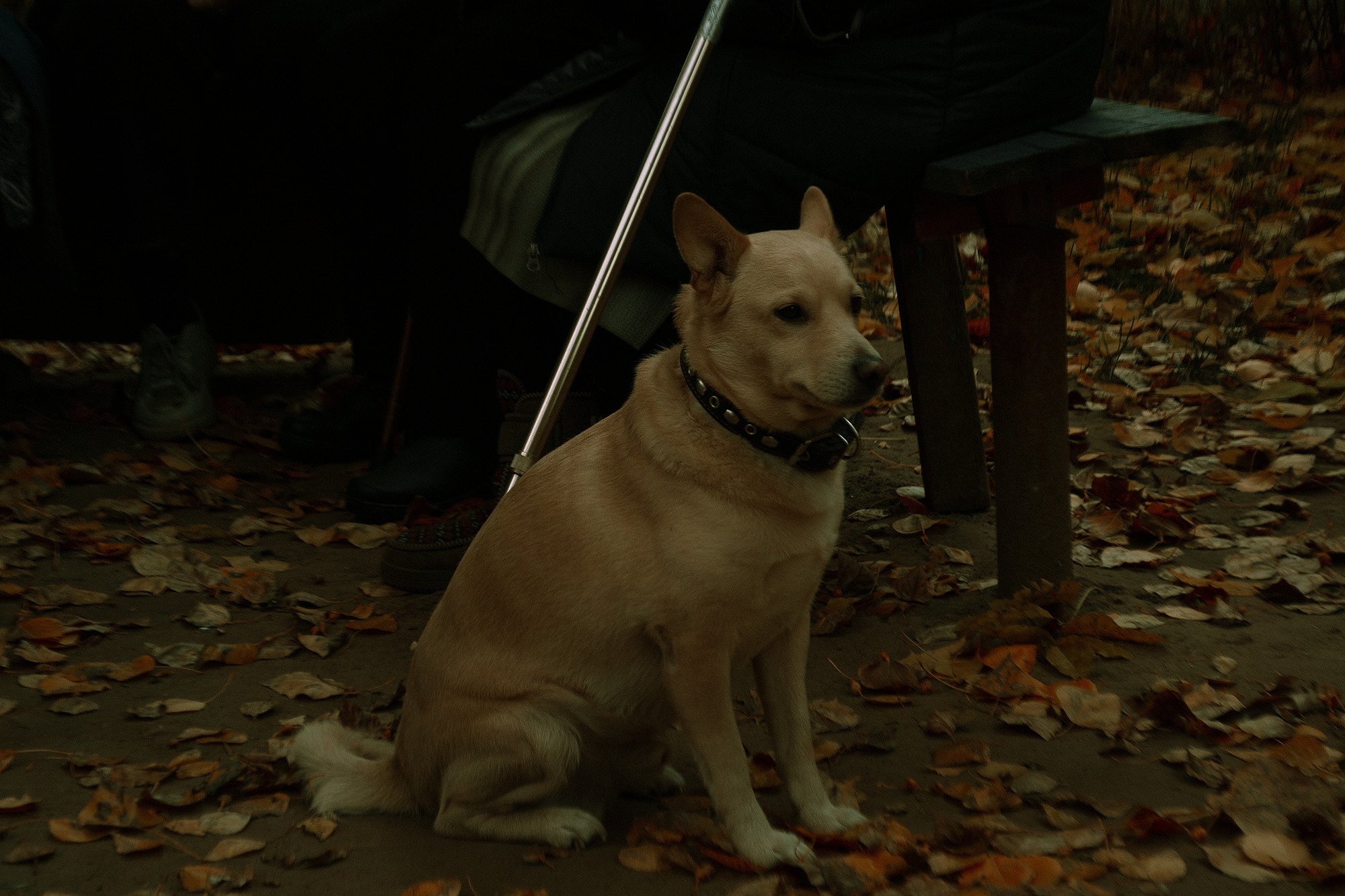 Саша. Design by — фото, обучение, портфолио. Фотограф Рязань