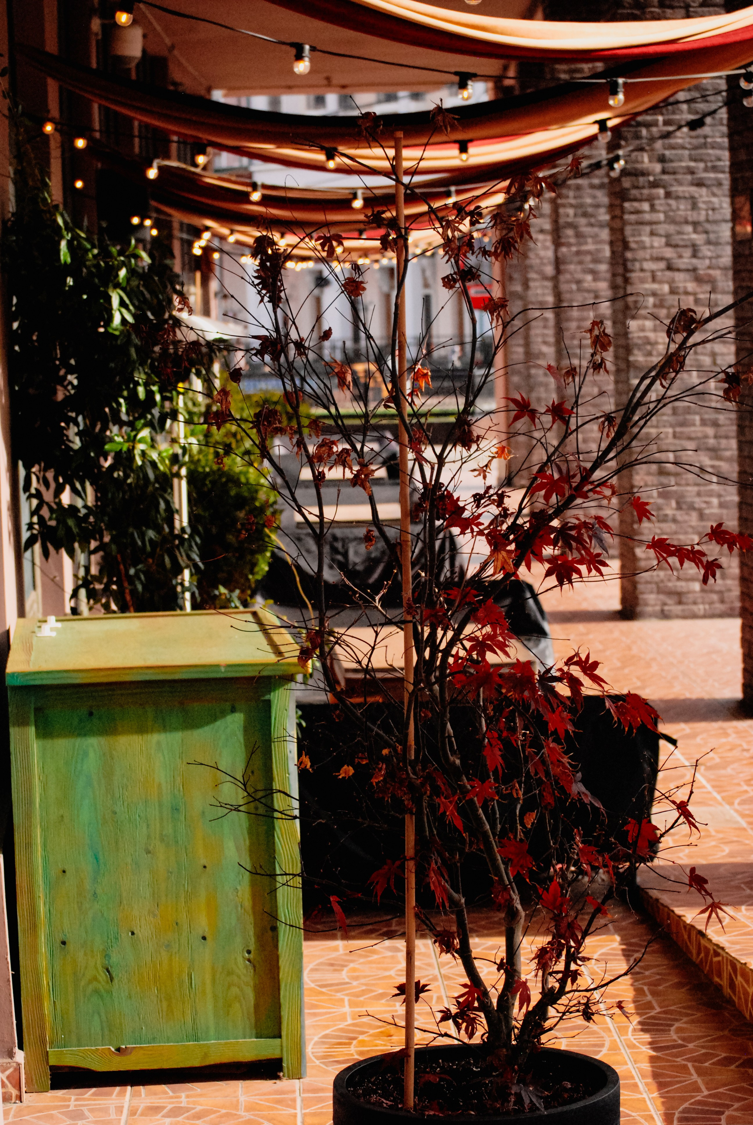 Пейзажная Фотопрогулка. Индивидуальная и Семейная Фотосъёмка для каждого