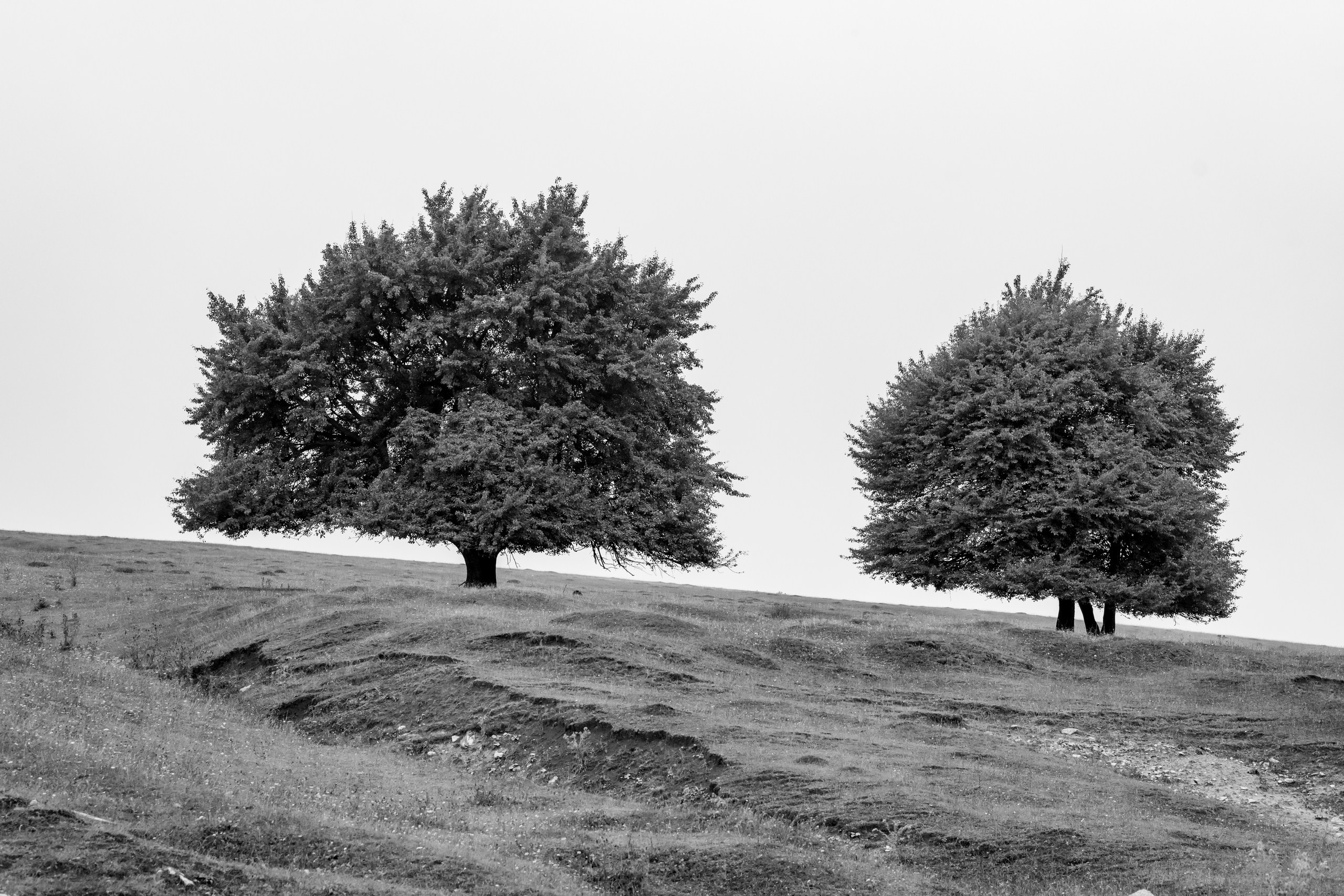 Природа Дагестана, сентябрь 2024. Foto-Zuev фотография как искусство
