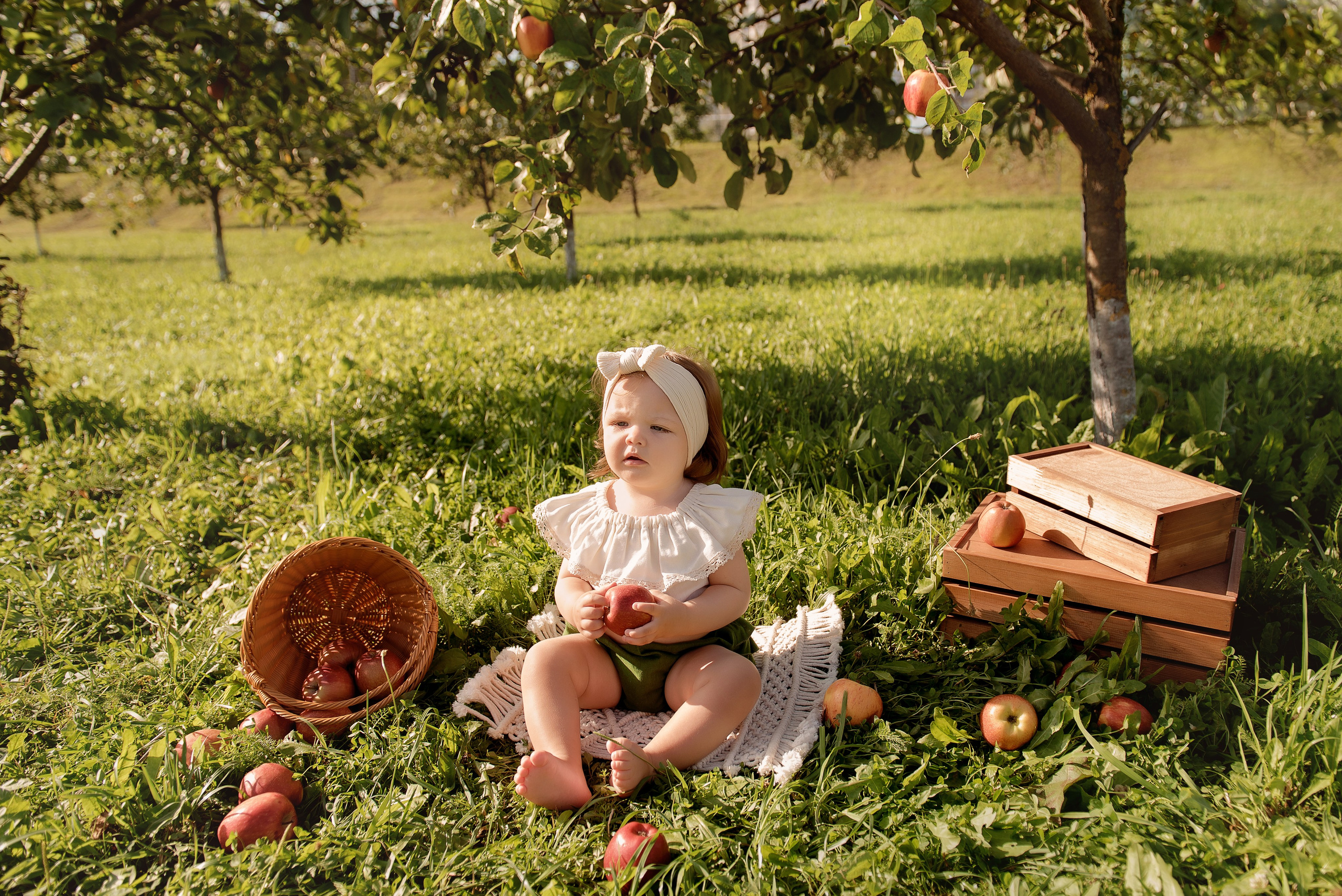 Яблоневый сад. Детский фотограф в Долгопрудном и Москве