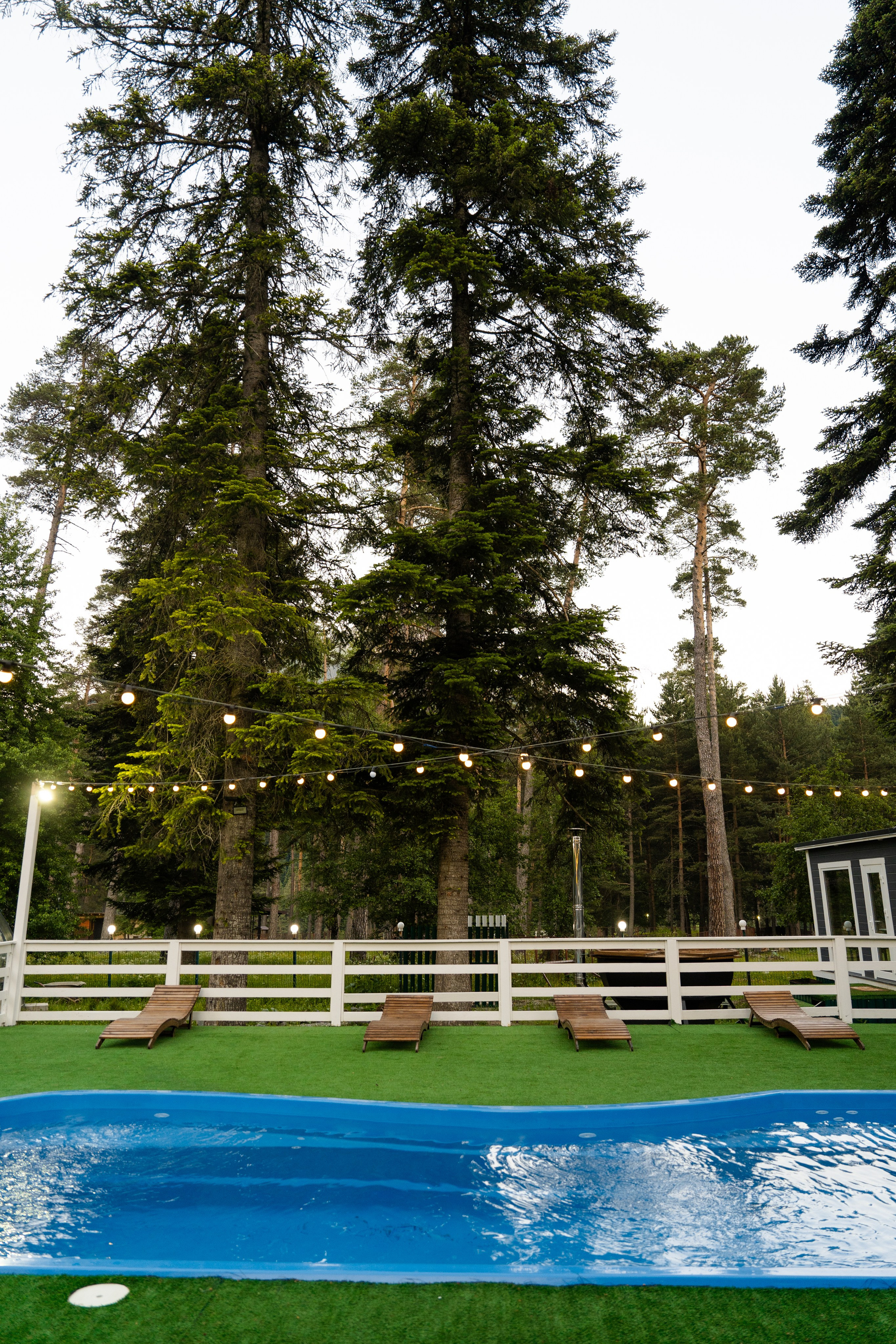 Green Park. Фотограф и видеограф Елена Хмелевская