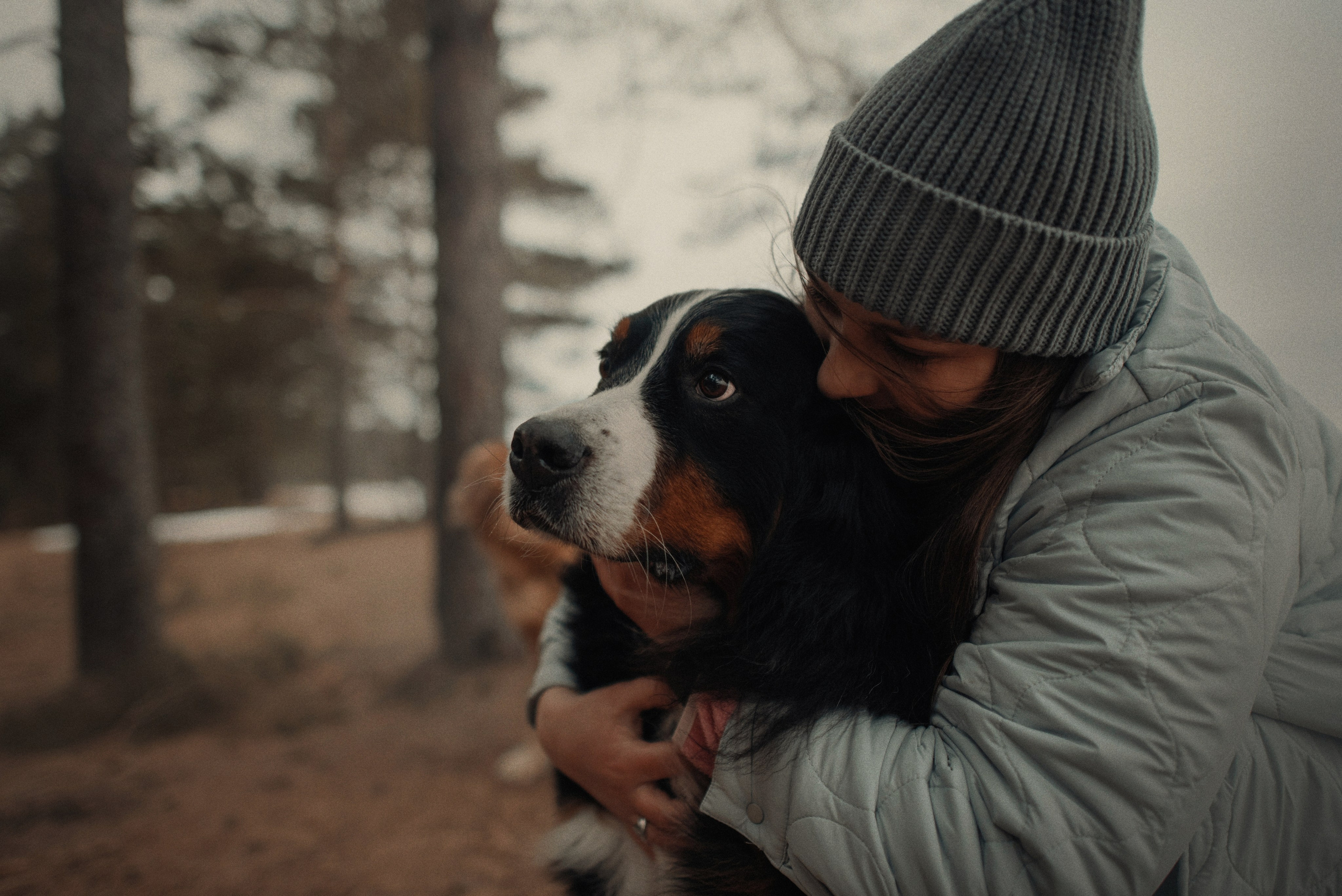 Прогулка: берн Пума, Фрэнк и Юля в Питере. Портфолио