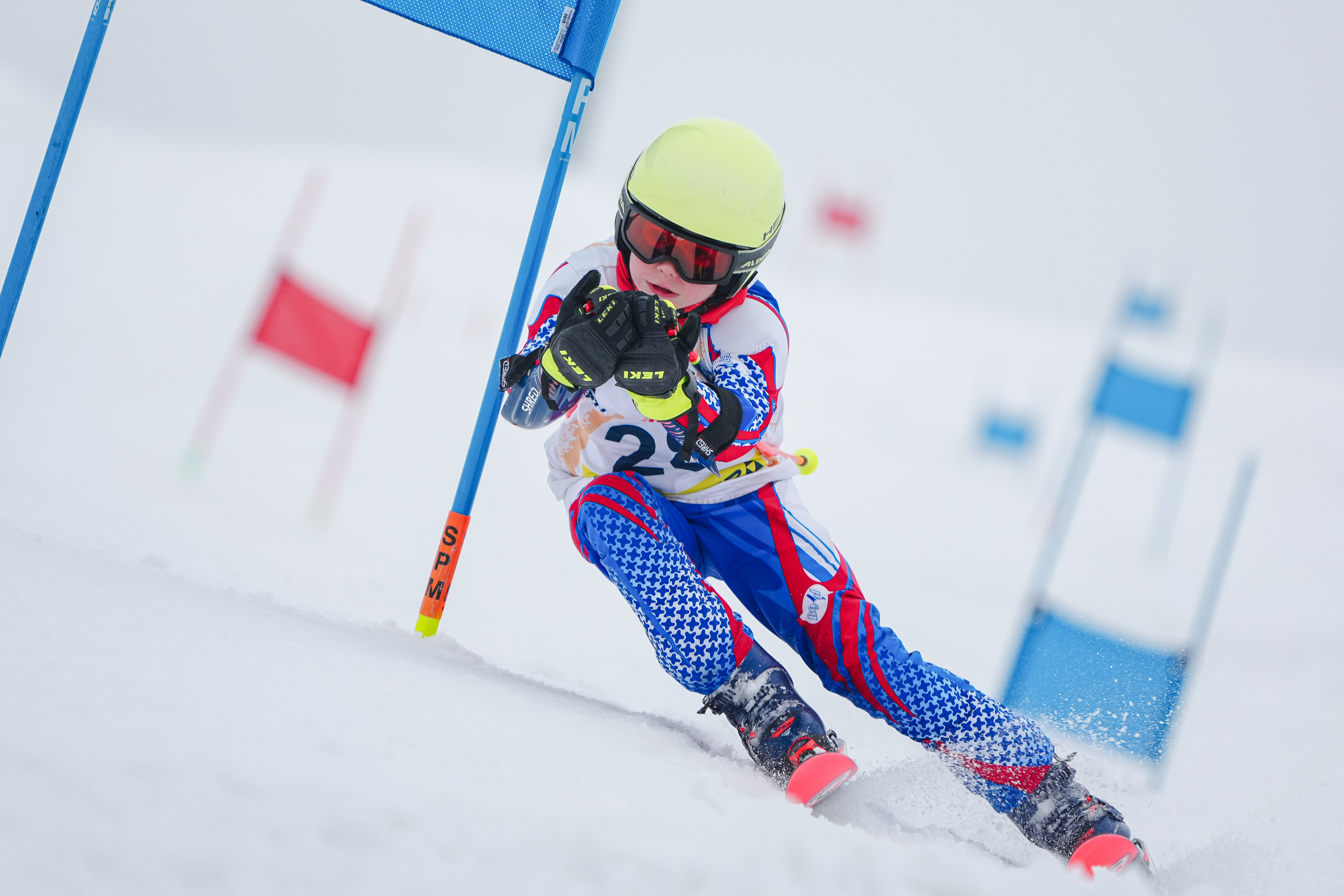 GS (Giant Slalom) - Слалом-гигант. Соревнования по горнолыжному спорту. Московская область, Шуколово