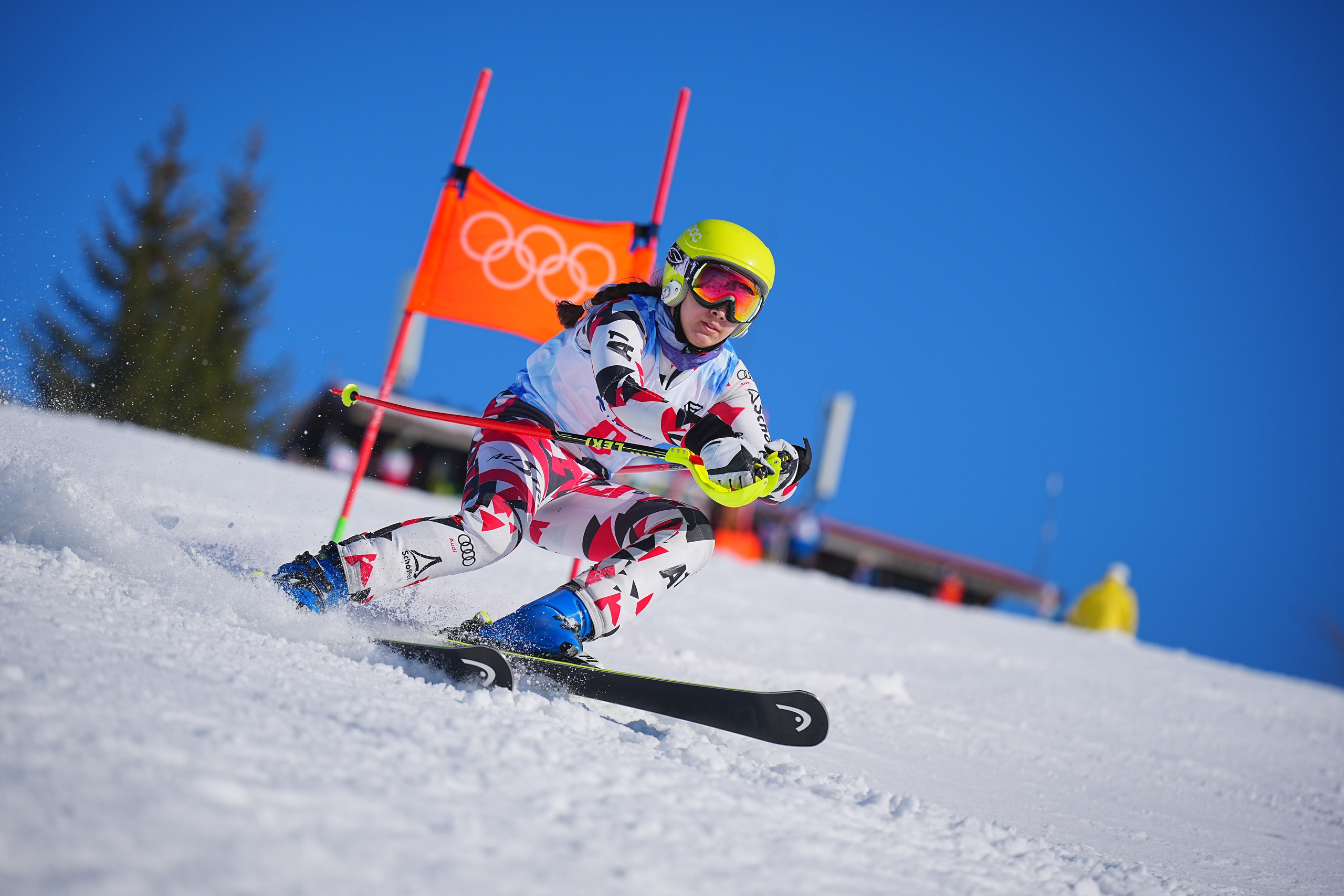 Шуколово. Открытое Первенство МФТИ по горным лыжам. GS, Telemark, 2024. Фотограф Студитский Евгений