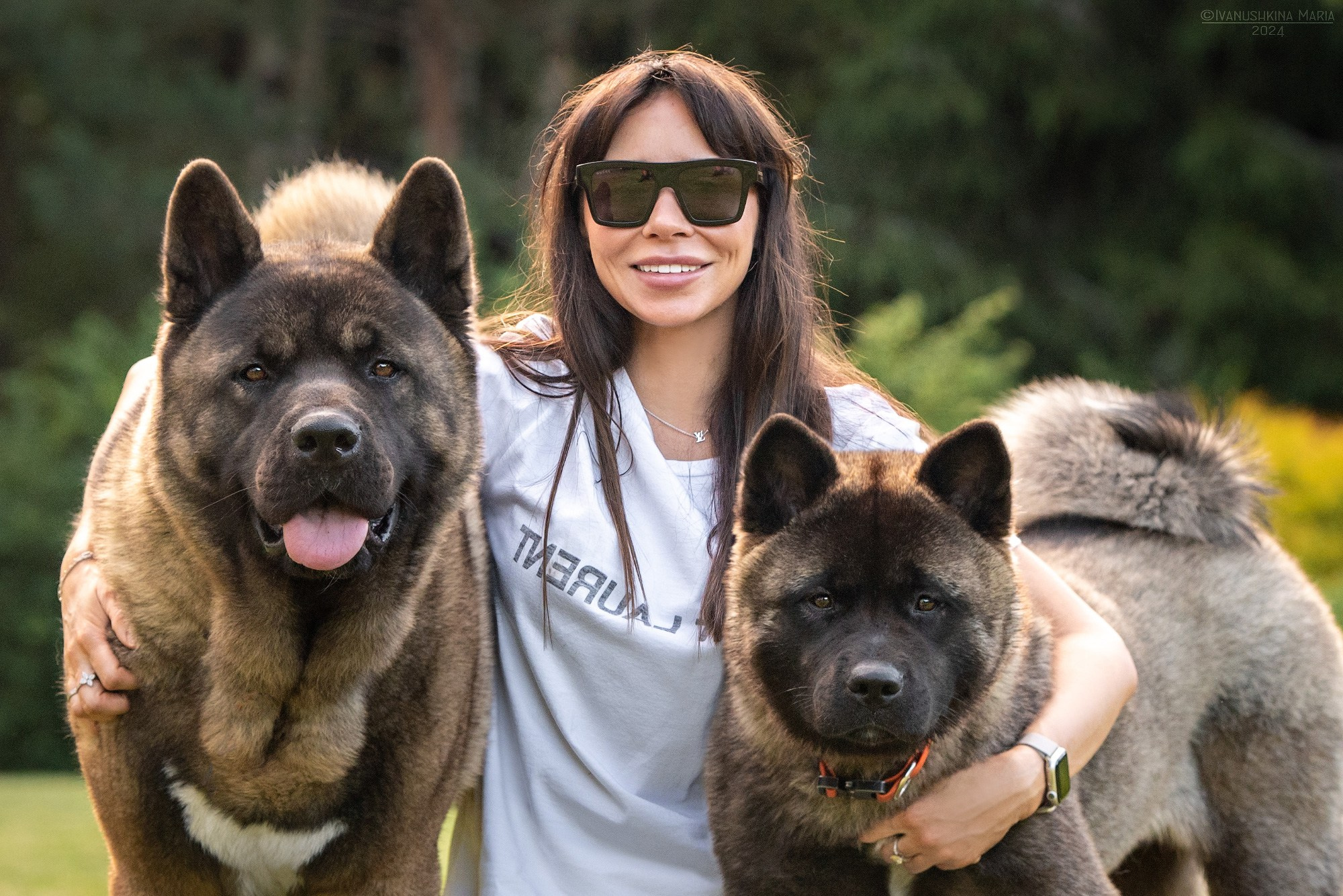 американские акиты