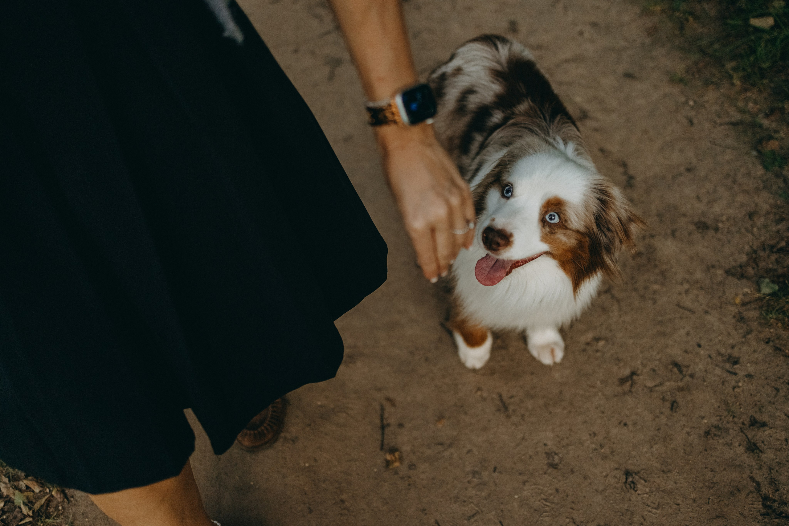 Маша и Эклер. Фотограф — Анималист | Санкт-Петербург