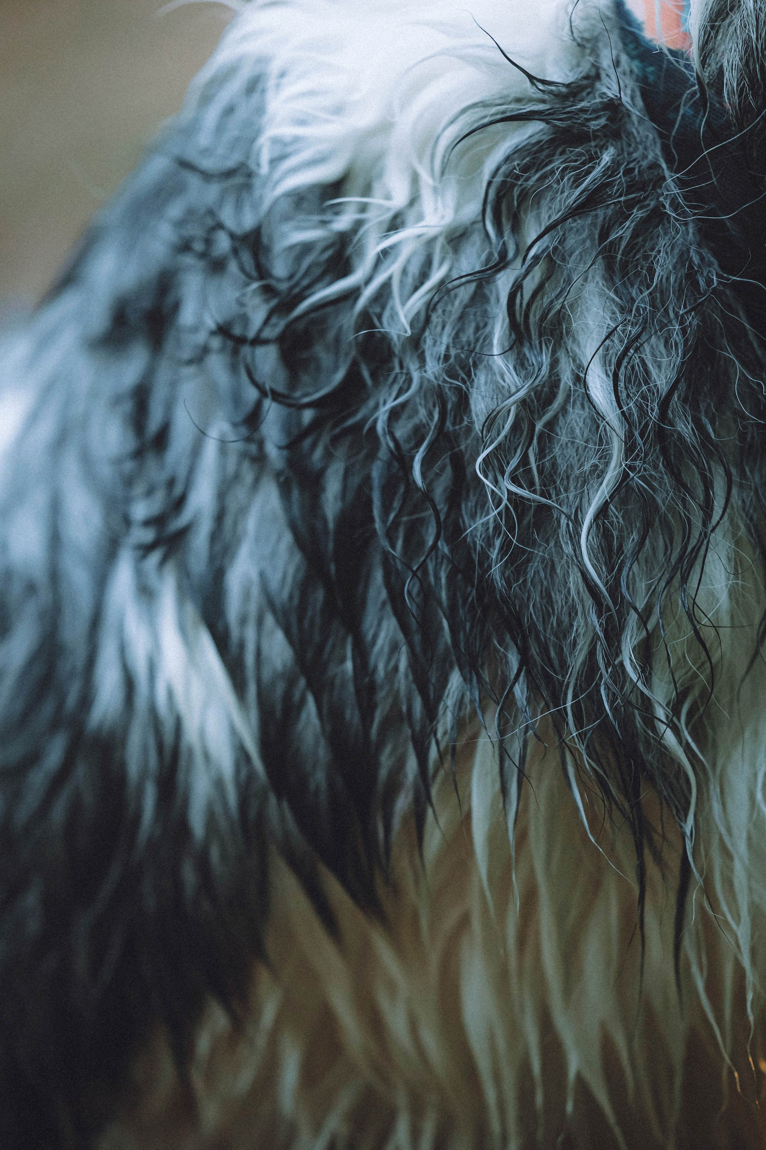 Лена, Принц и Фенек