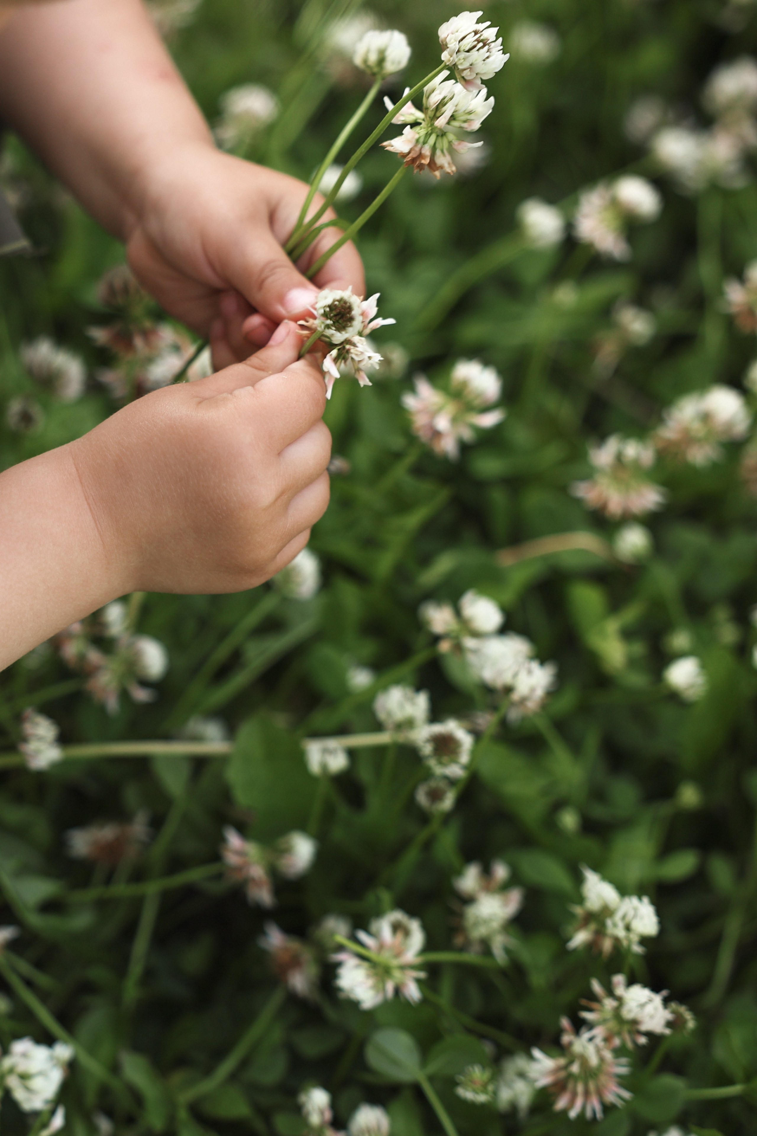 На полянке клевера. Ваш семейный newborn и lifestyle фотограф в СПБ Наталья Журавлева