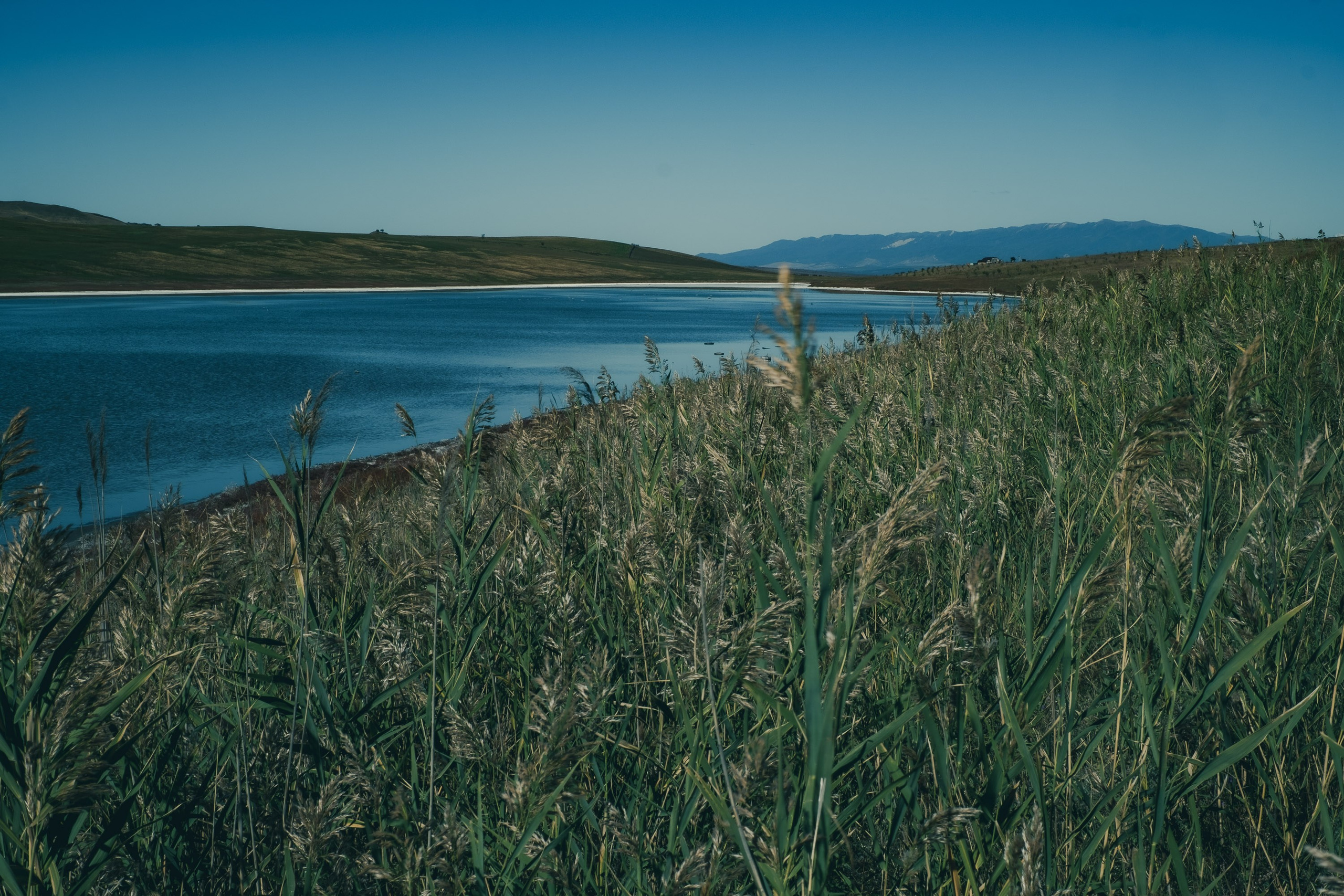 Georgia travel. Photographer in Tbilisi