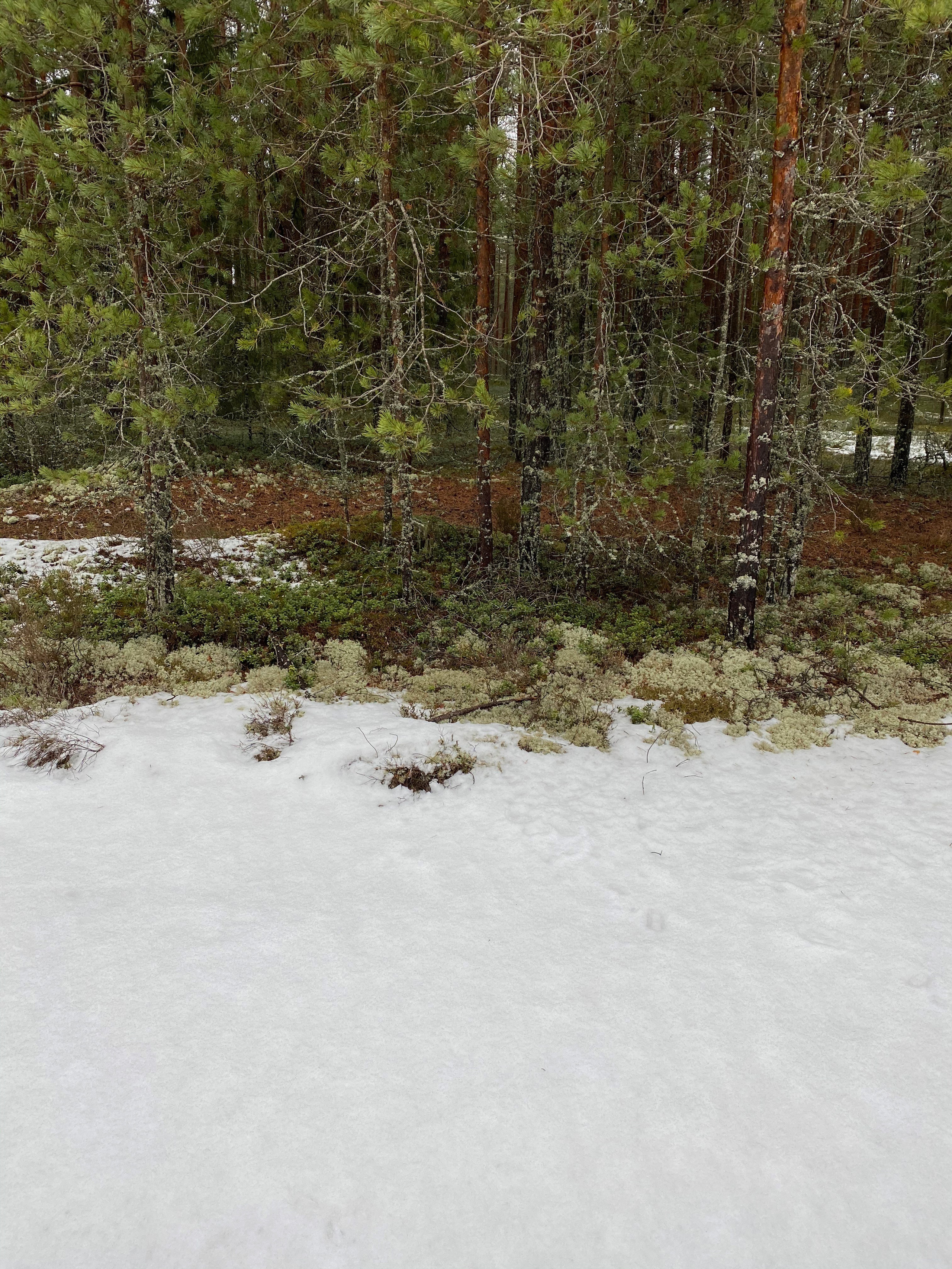 Вокруг Селигера-20. Своя Мастерская