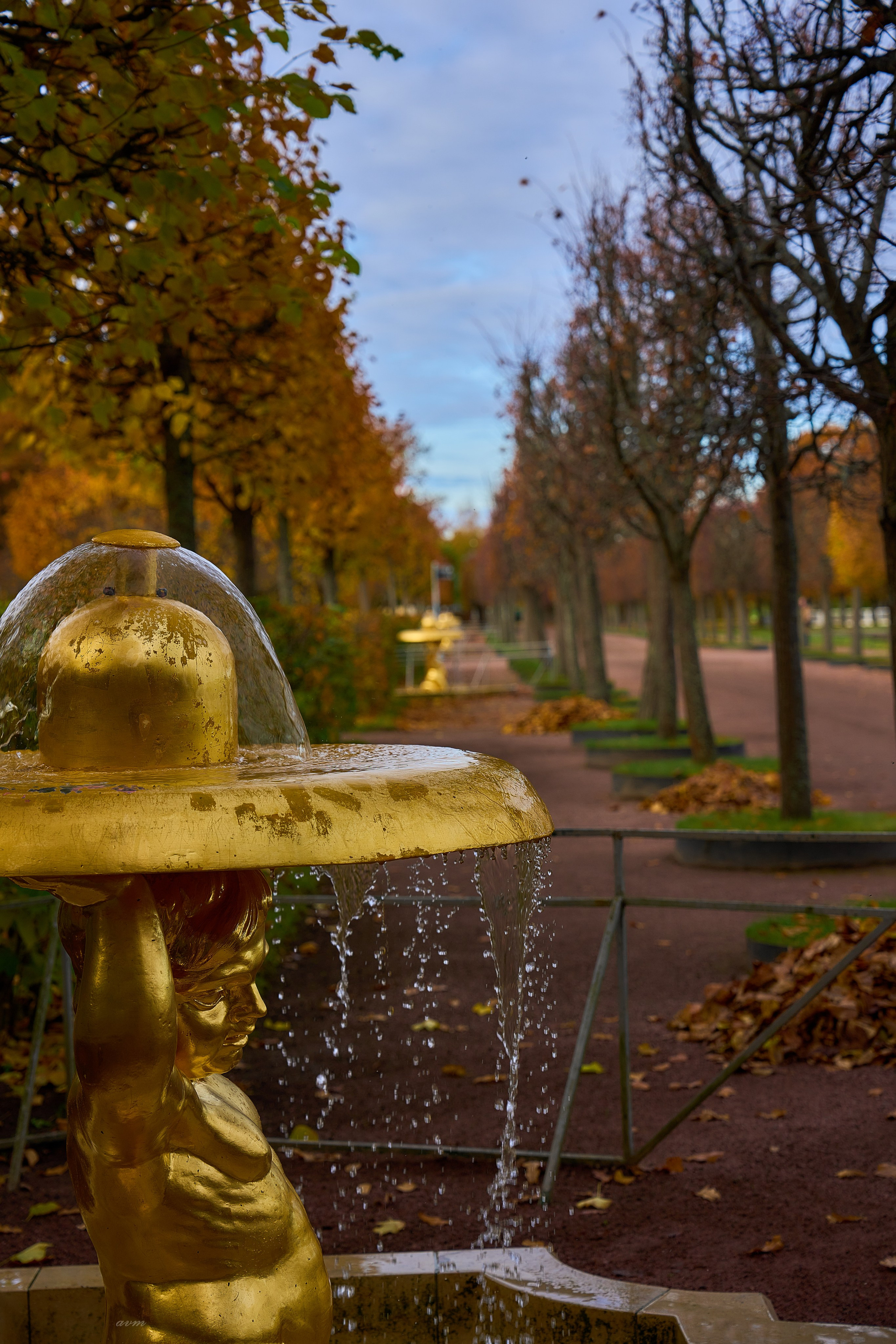 Петергоф. Фотограф Михеев Андрей