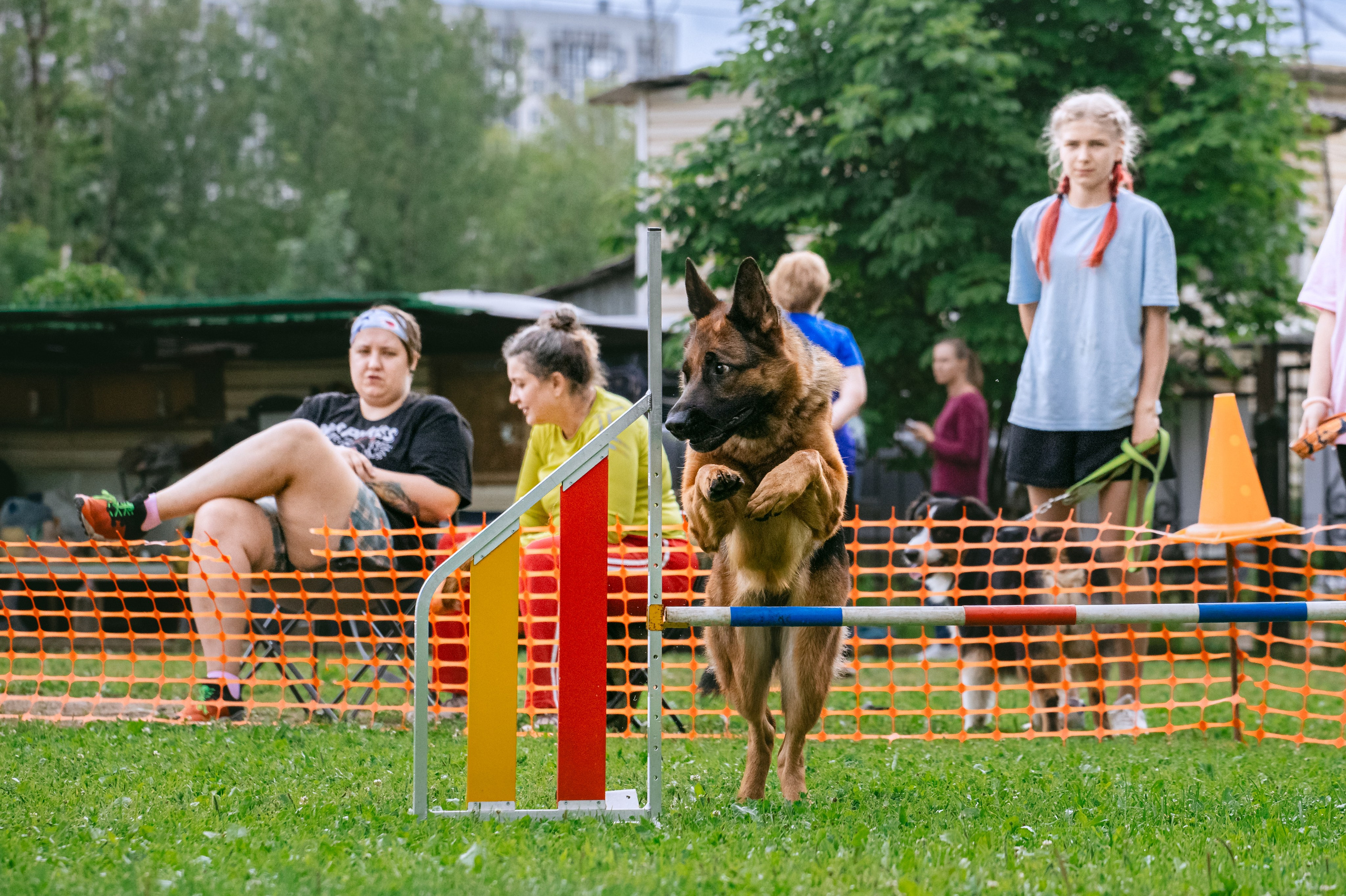 Соревнования по аджилити Долгопрудный 30.06.2025. Фотограф-анималист Татьяна Степанова