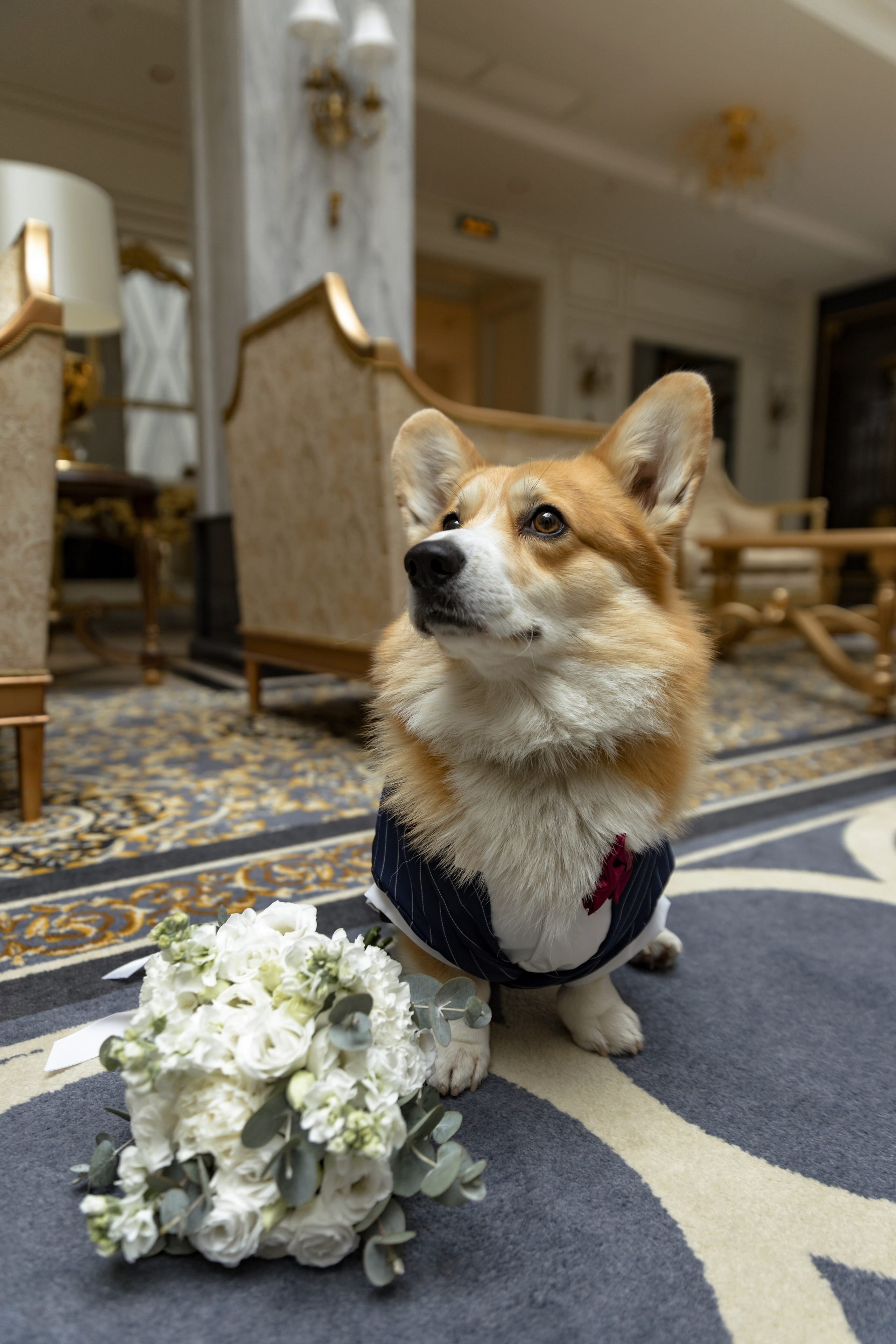 Свадьба Екатерины и Дмитрия. Свадебный и портретный фотограф в Санкт-Петербурге Надежда Чечулина