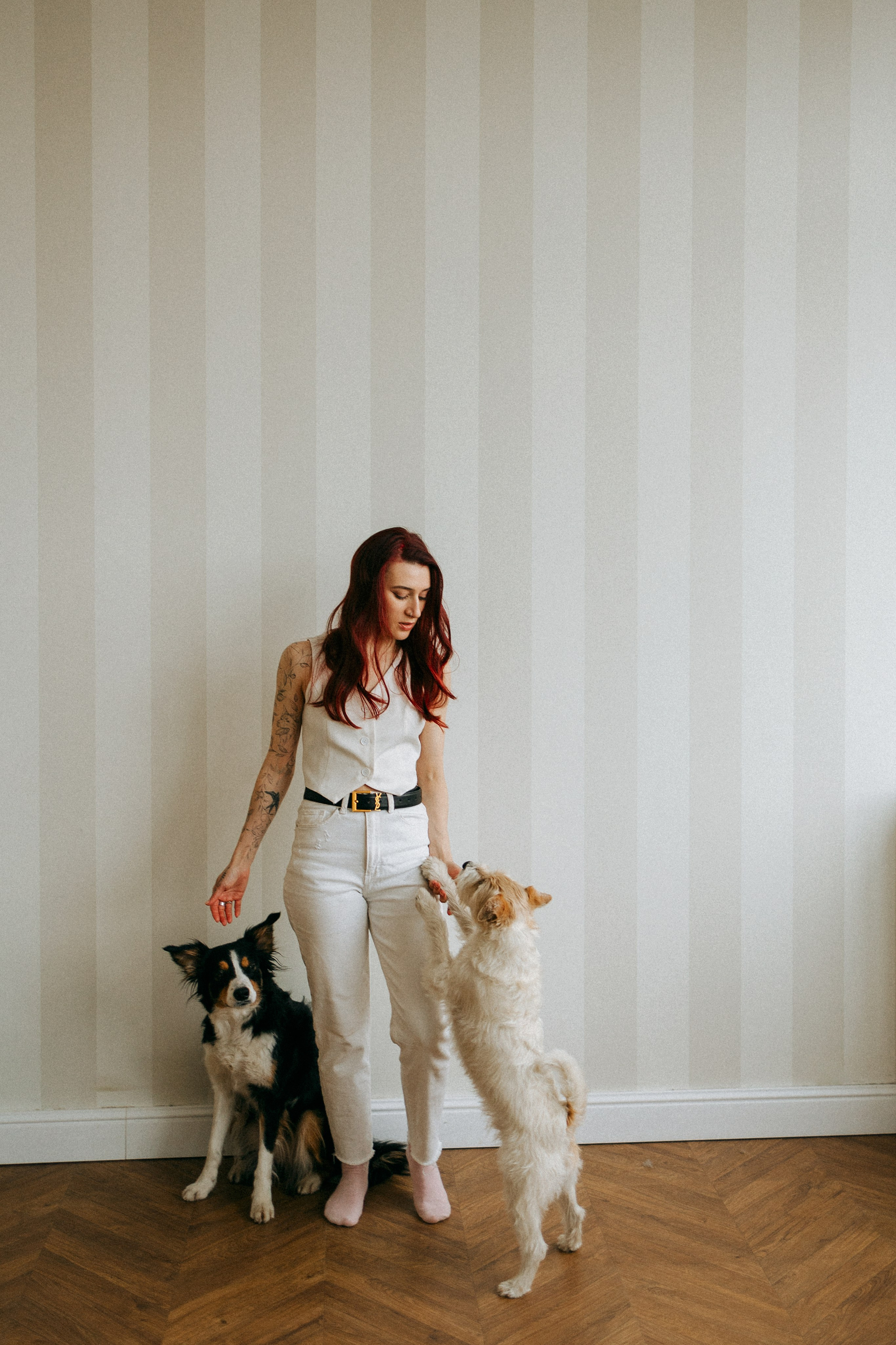 Цунами, Теон и Женя. Фотограф анималист Анастасия Пикей