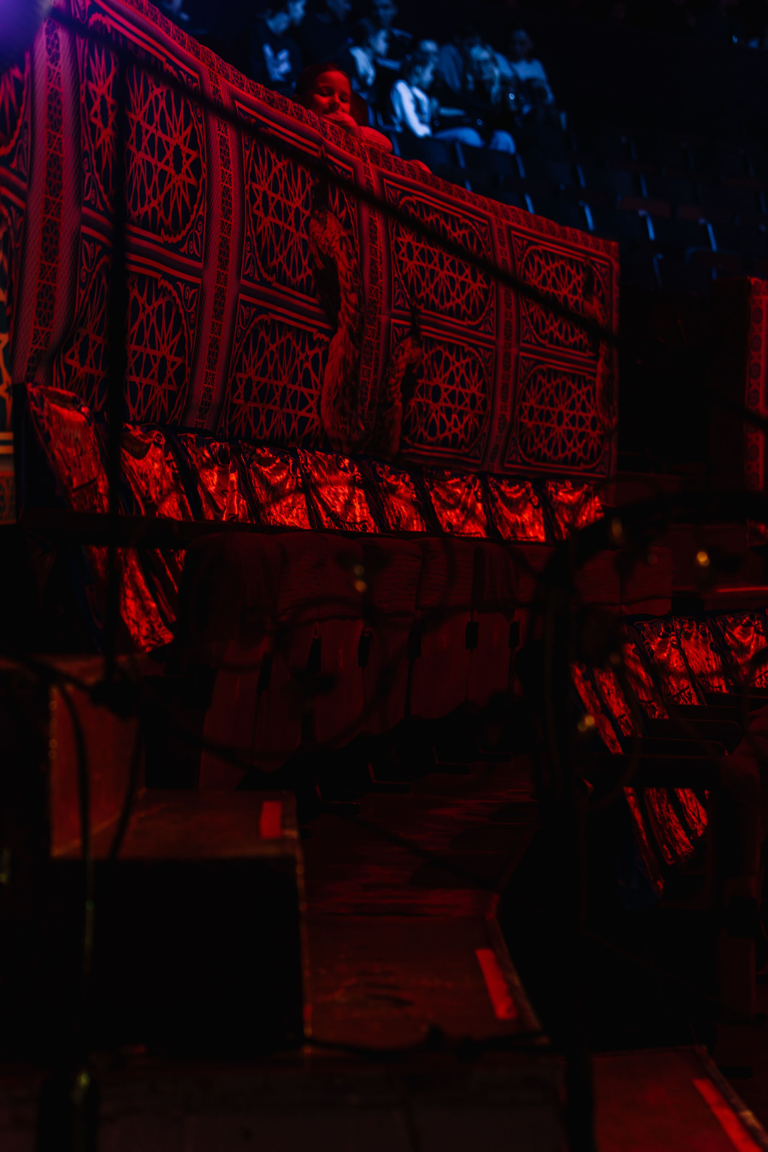 Королевский цирк Гии Эрадзе. Свадебный и семейный фотограф в Перми Лилия Гатауллина