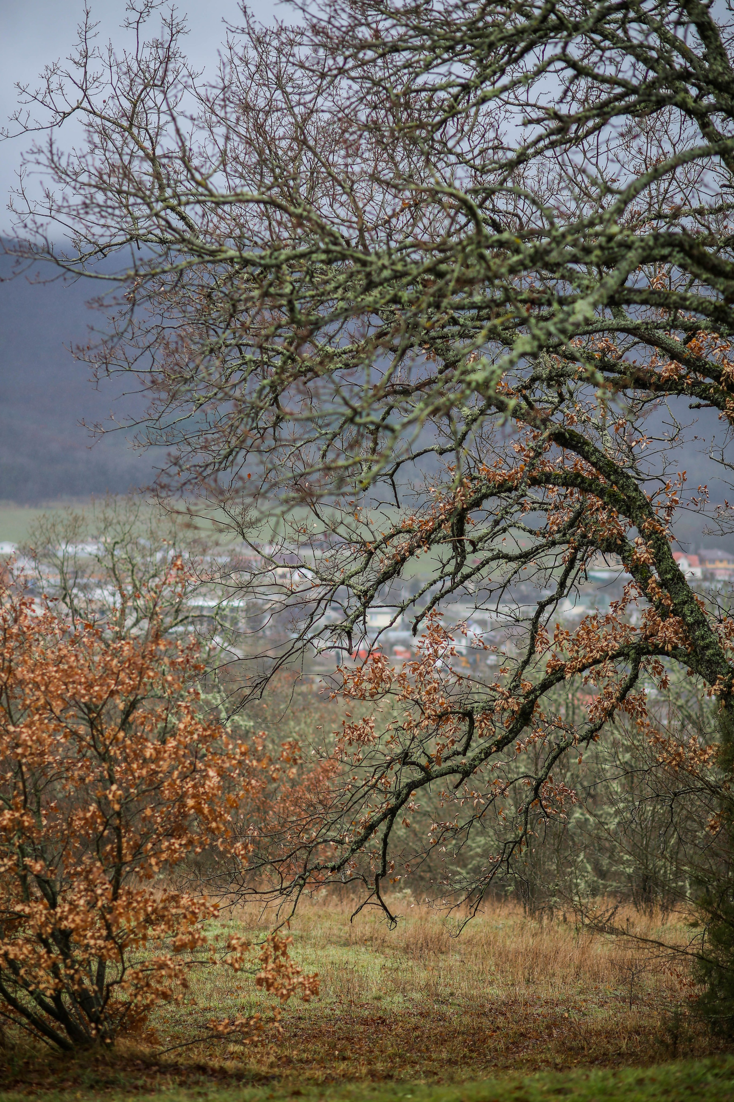 Крым. Фотограф в г. Сургуте Марина Киприна