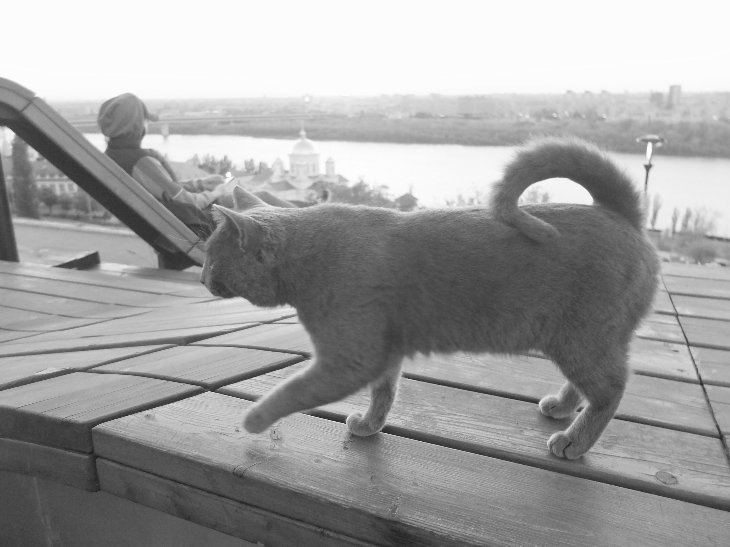 Нижний Новгород. Фотографъ Сергѣевъ. Поймать мгновеніе