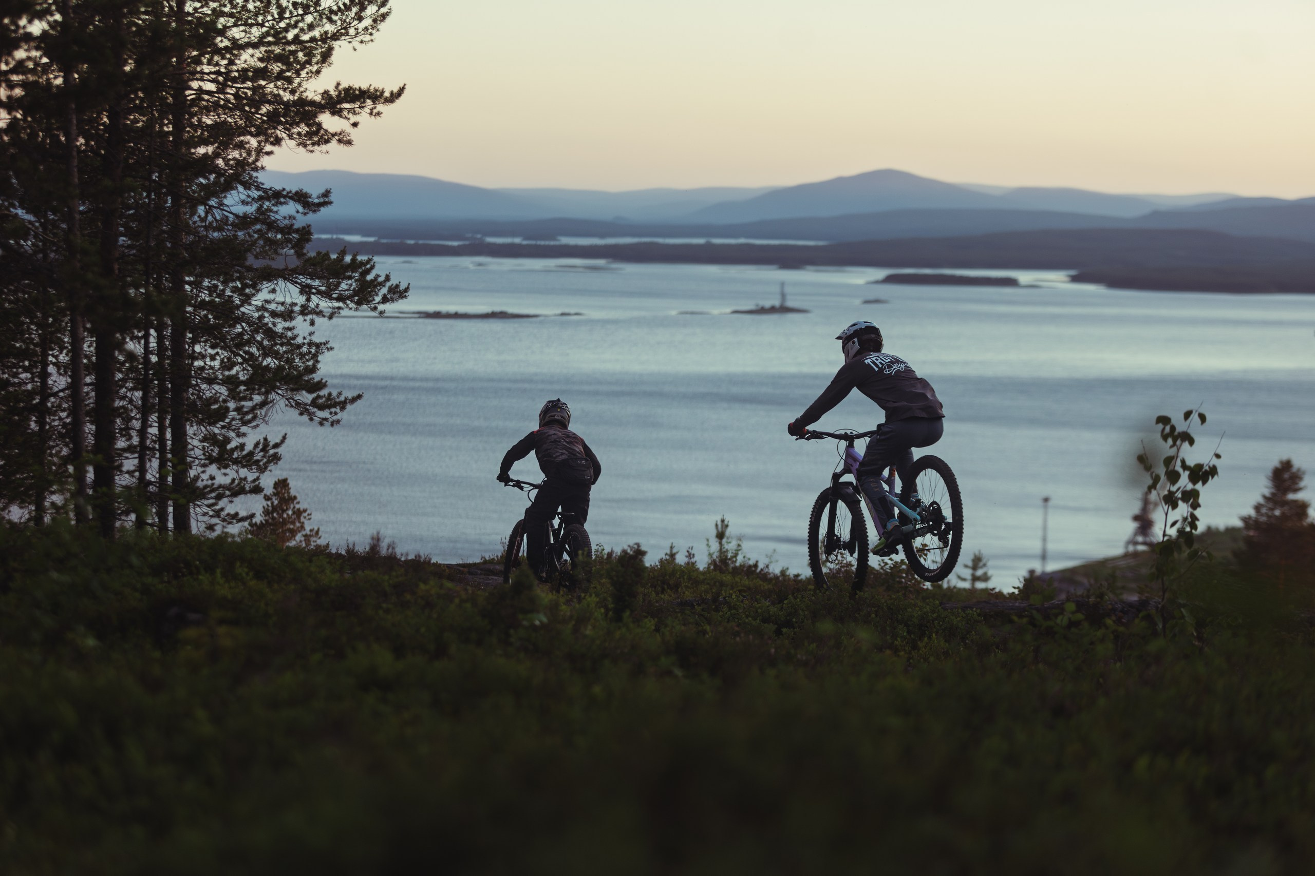 Кандалакшка. Фотограф анималист Никита Натальный