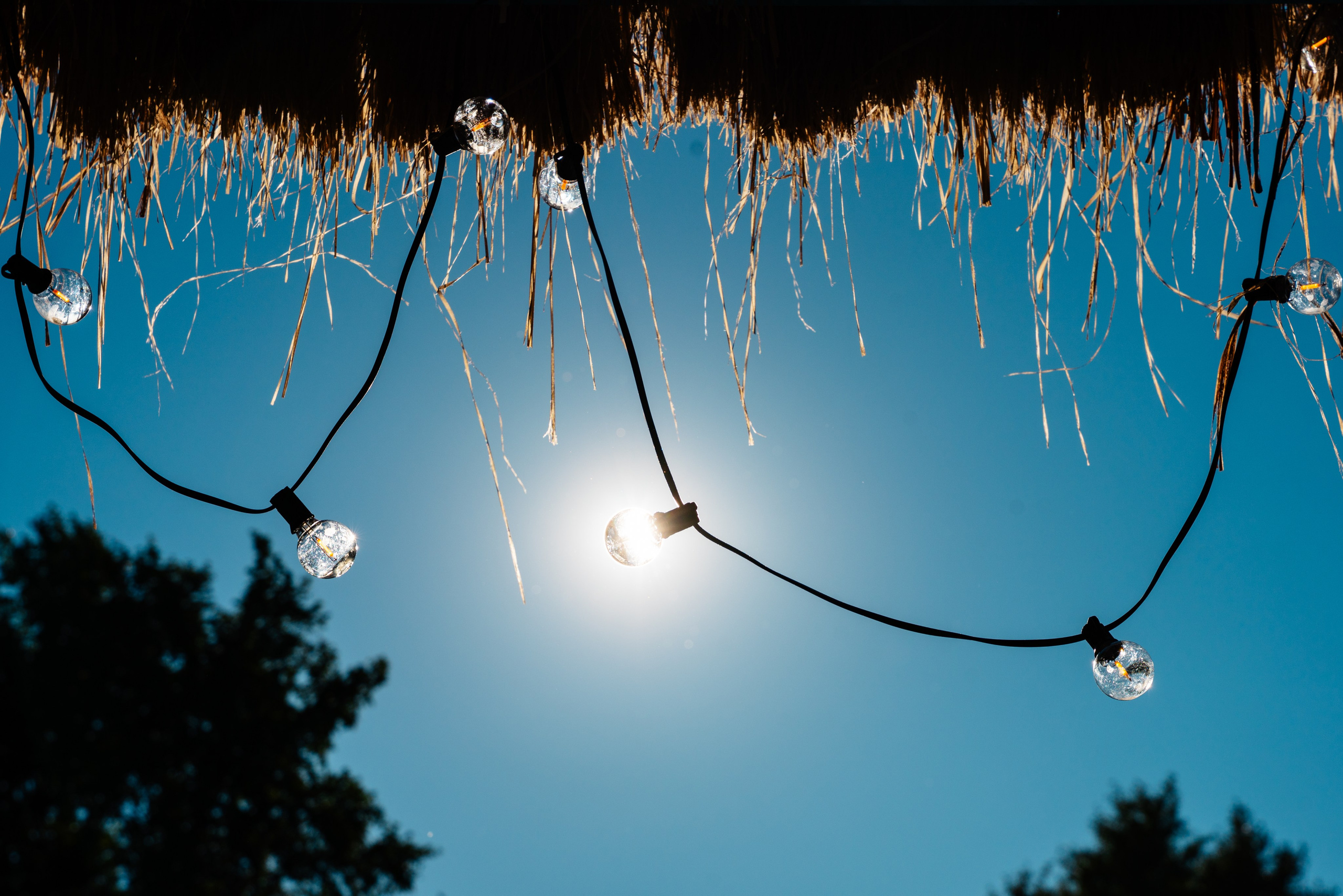 Портфолио репортажных фотосъемок. Репортажный и свадебный фотограф Алексей Полячек