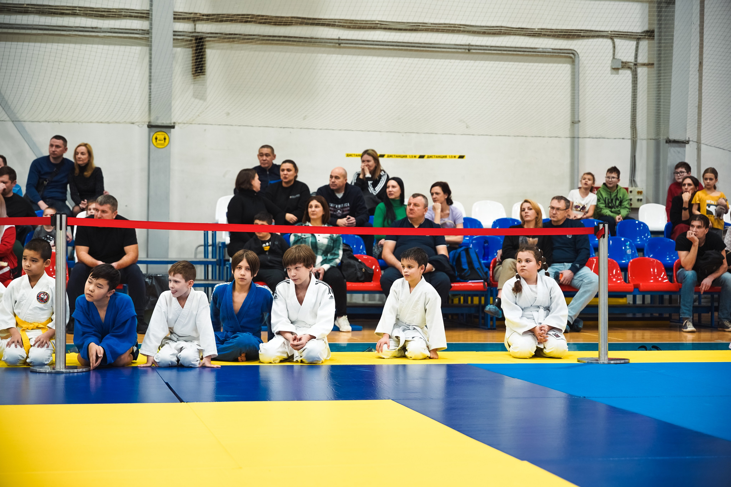 Самбо. Портретный и репортажный фотограф