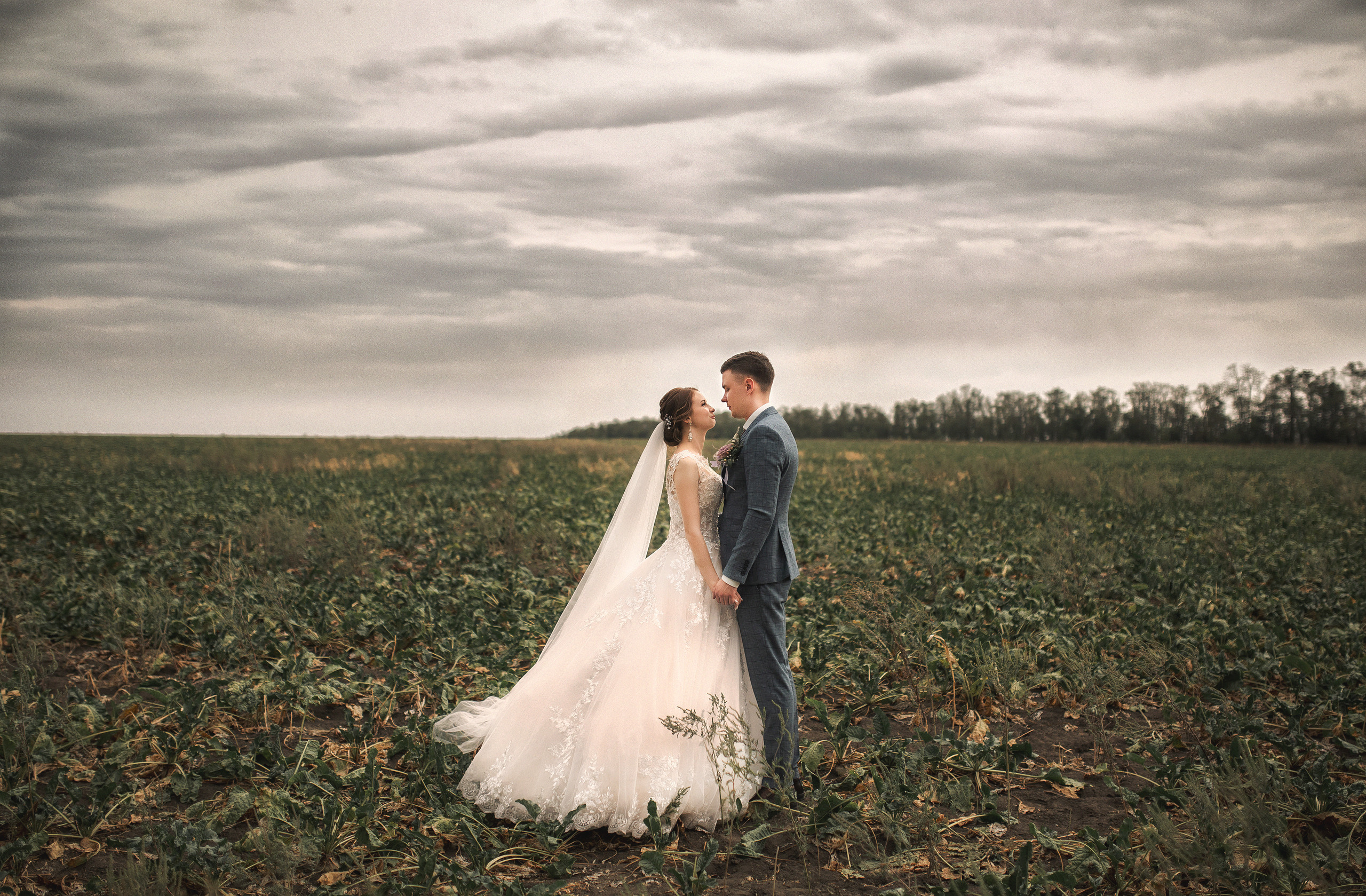 Дима&Марина. Свадебный фотограф в Краснодаре Анастасия Широкова