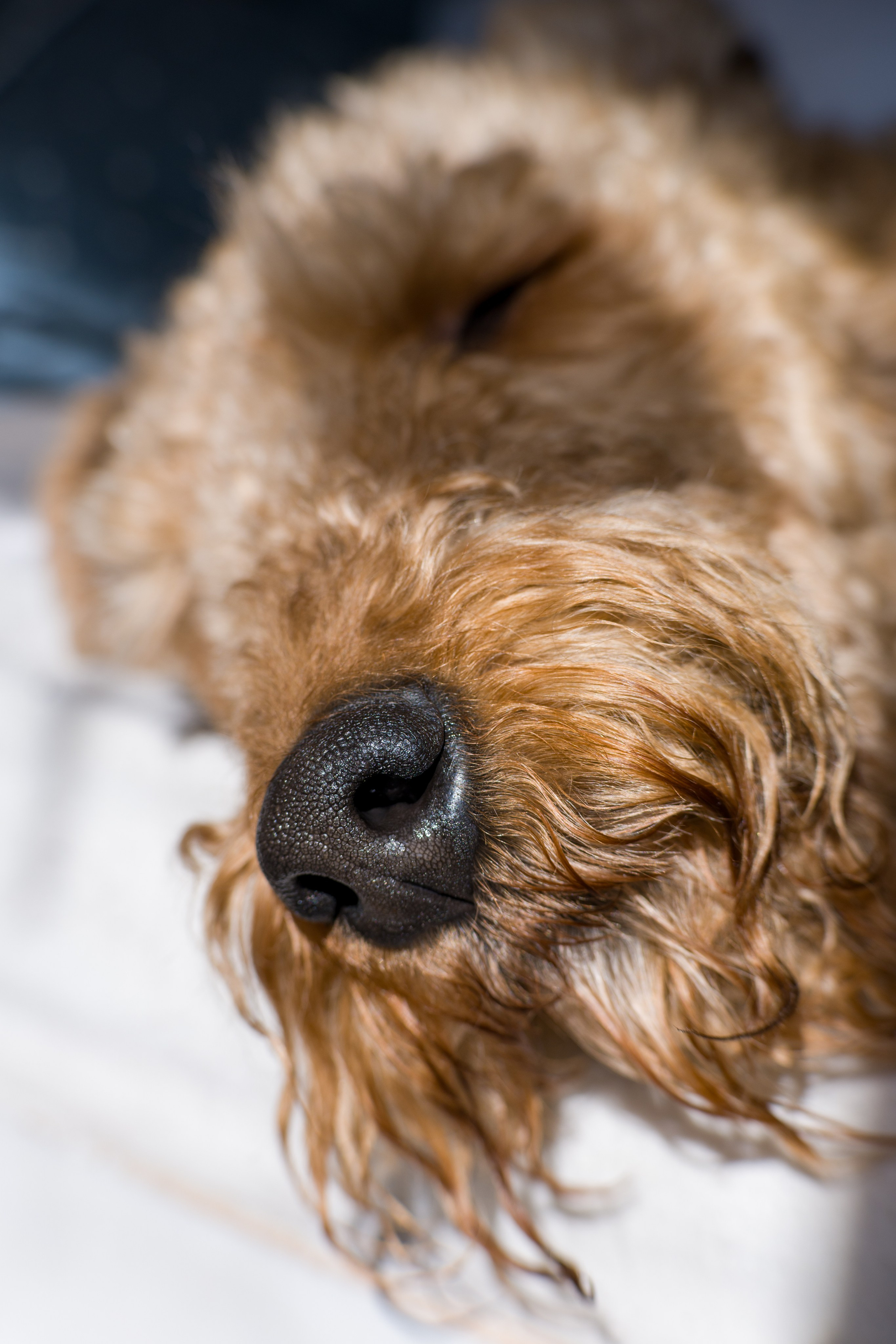 Утро весны (серия). Мистические фотосессии в Санкт-Петербурге от мистика Ильи Шенгелия