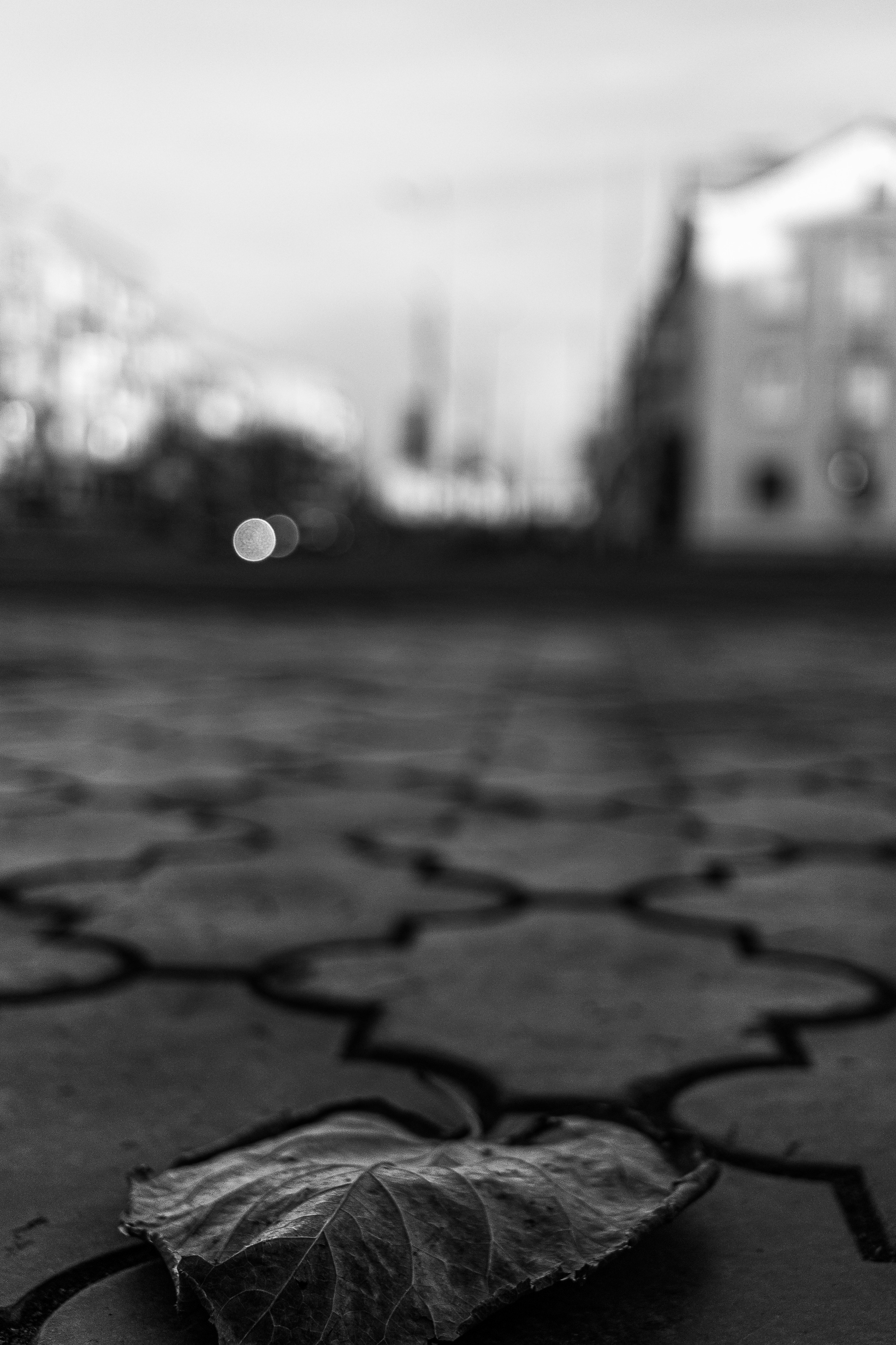 UrbanRothkoStreet. Street photographer