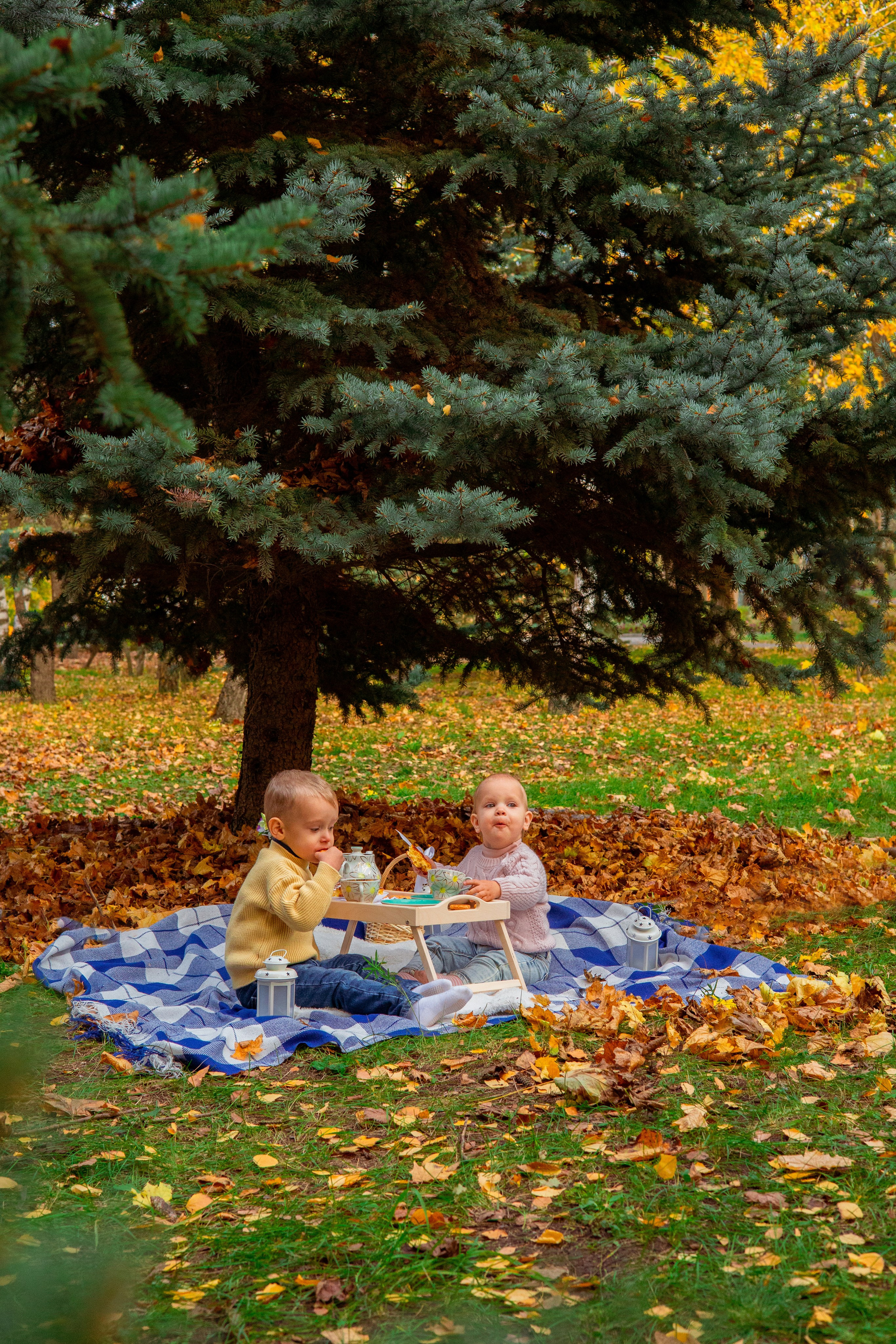 Полина и Даня осень. Семейный и детский фотограф в Михайловке Татьяна Лестьева