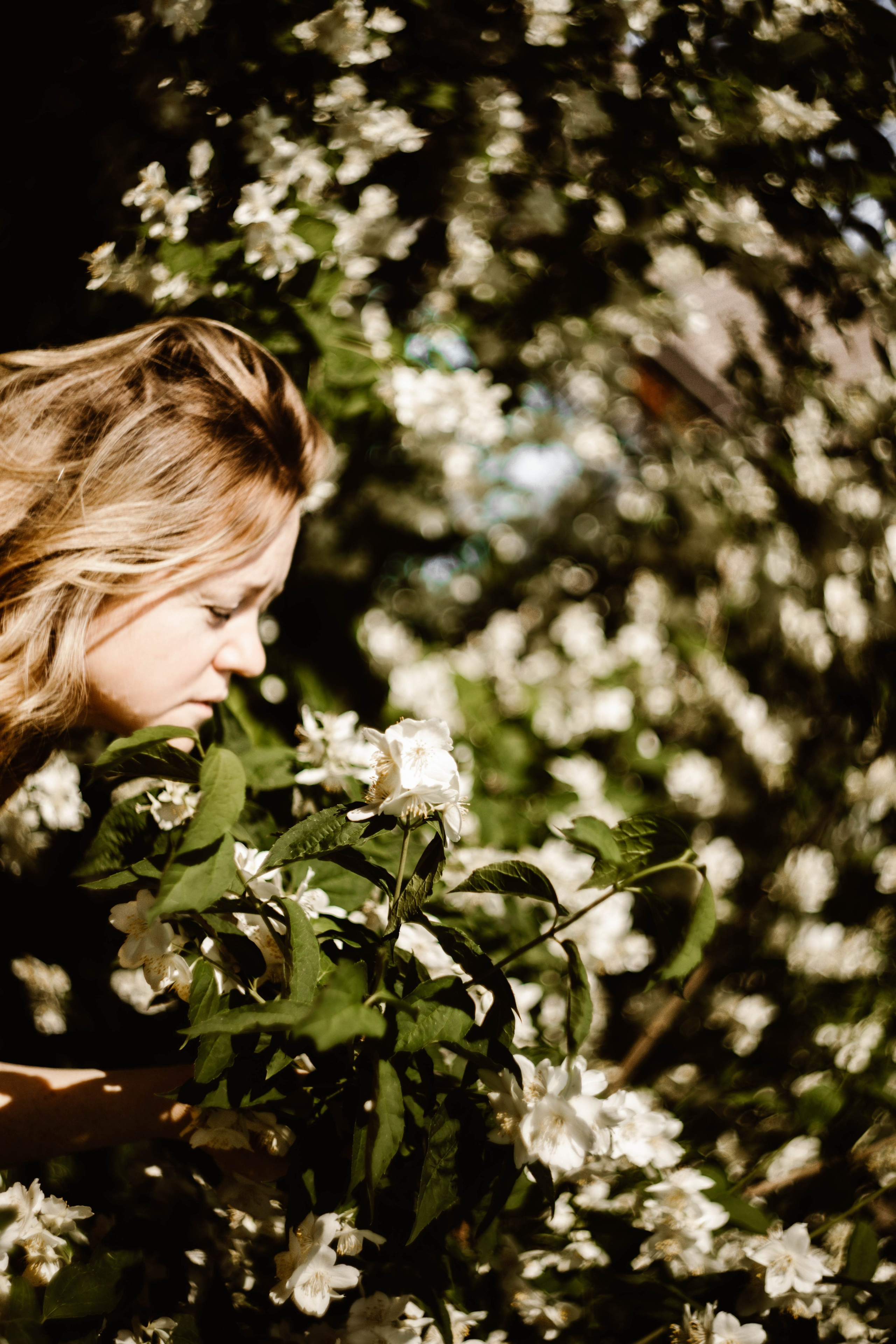 Таня в Жасмине. Фотограф в Нижнем Новгороде