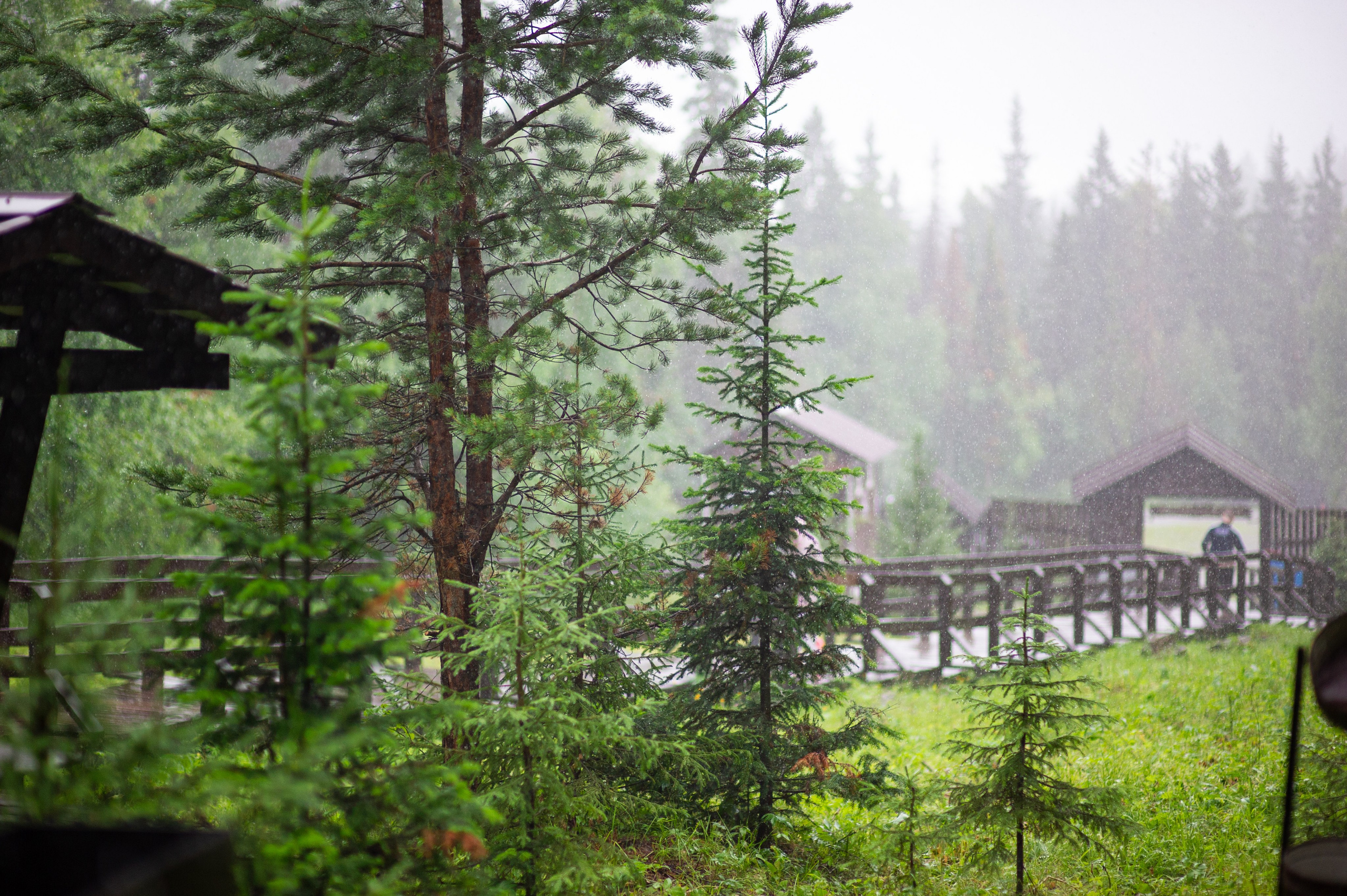 Национальный парк Таганай. Фотограф Шариков Илья