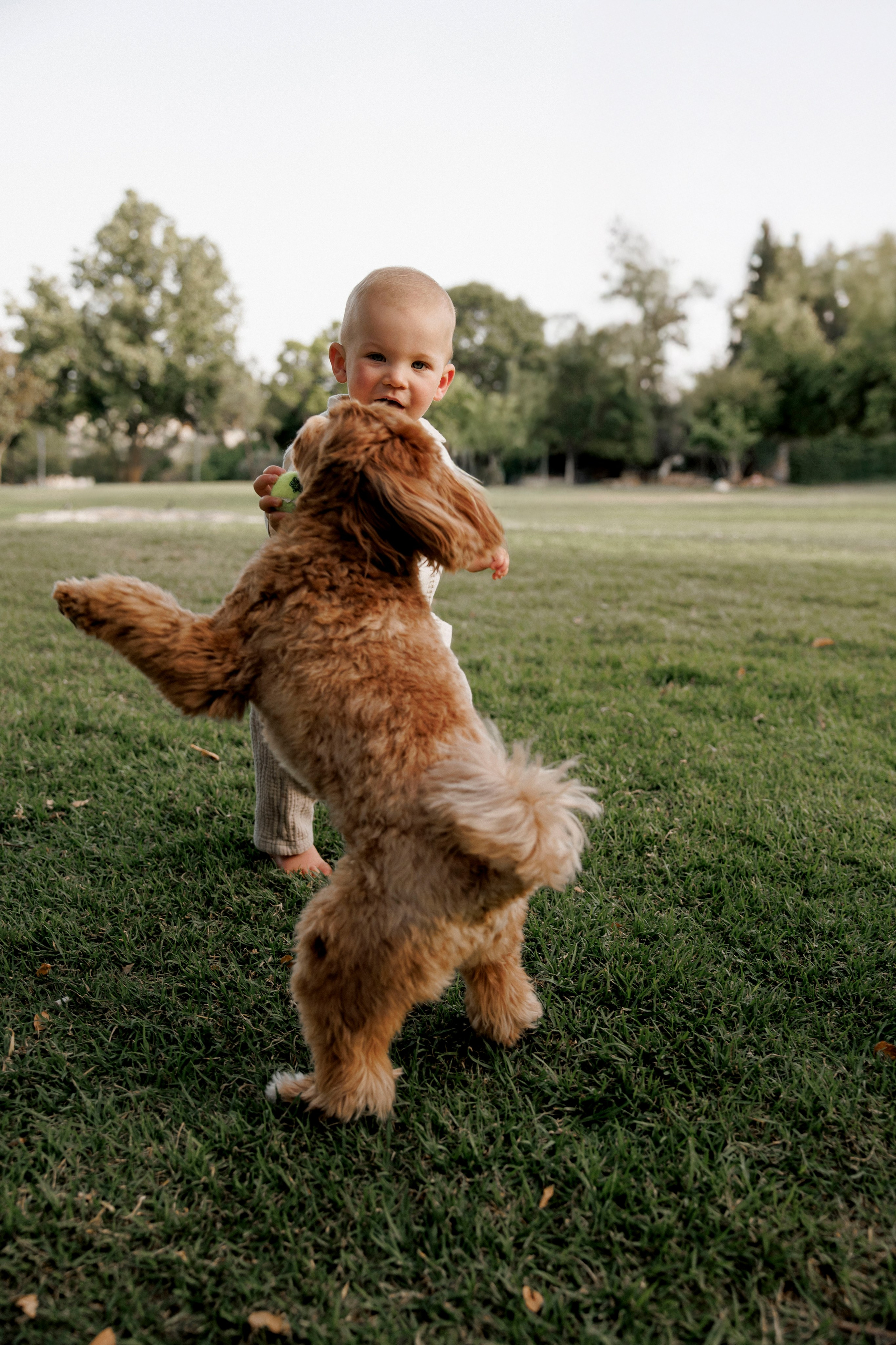 One year old at home. Wedding and family photographer