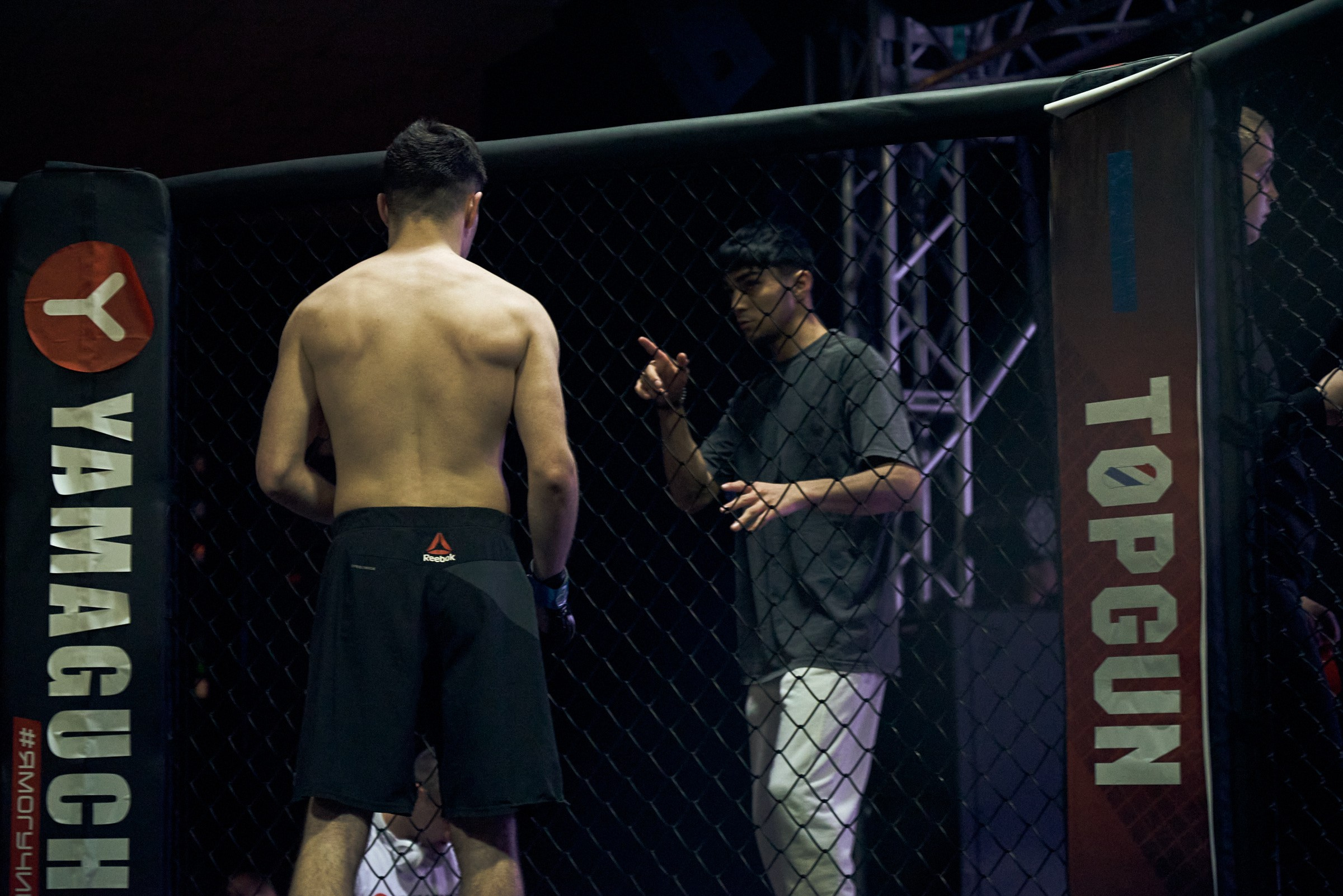 Бои. Маляревич Дмитрий свадебный фотограф