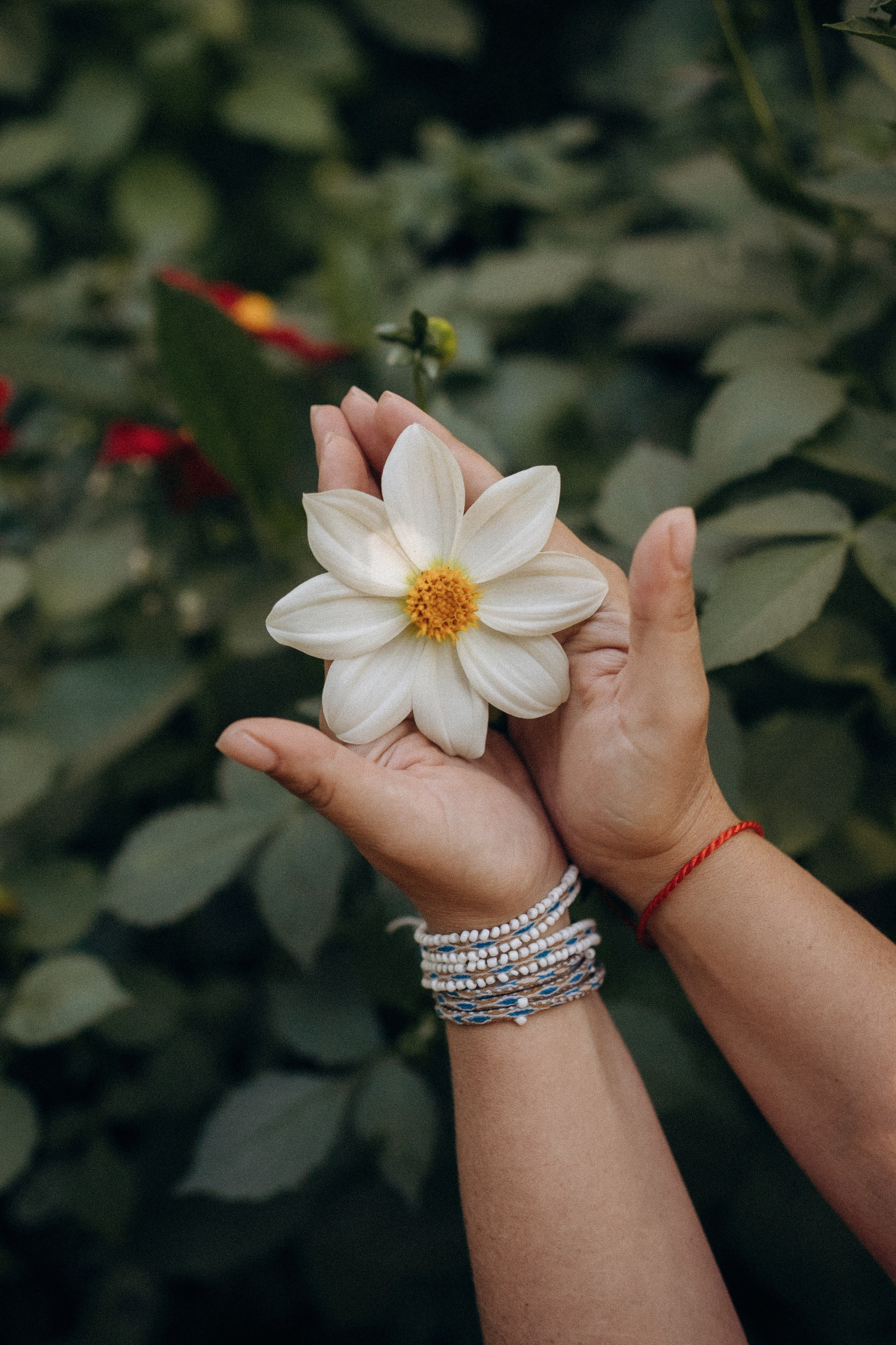 Вика. Дмитриева Светлана женский и семейный фотограф Рига, Москва, Геленджик