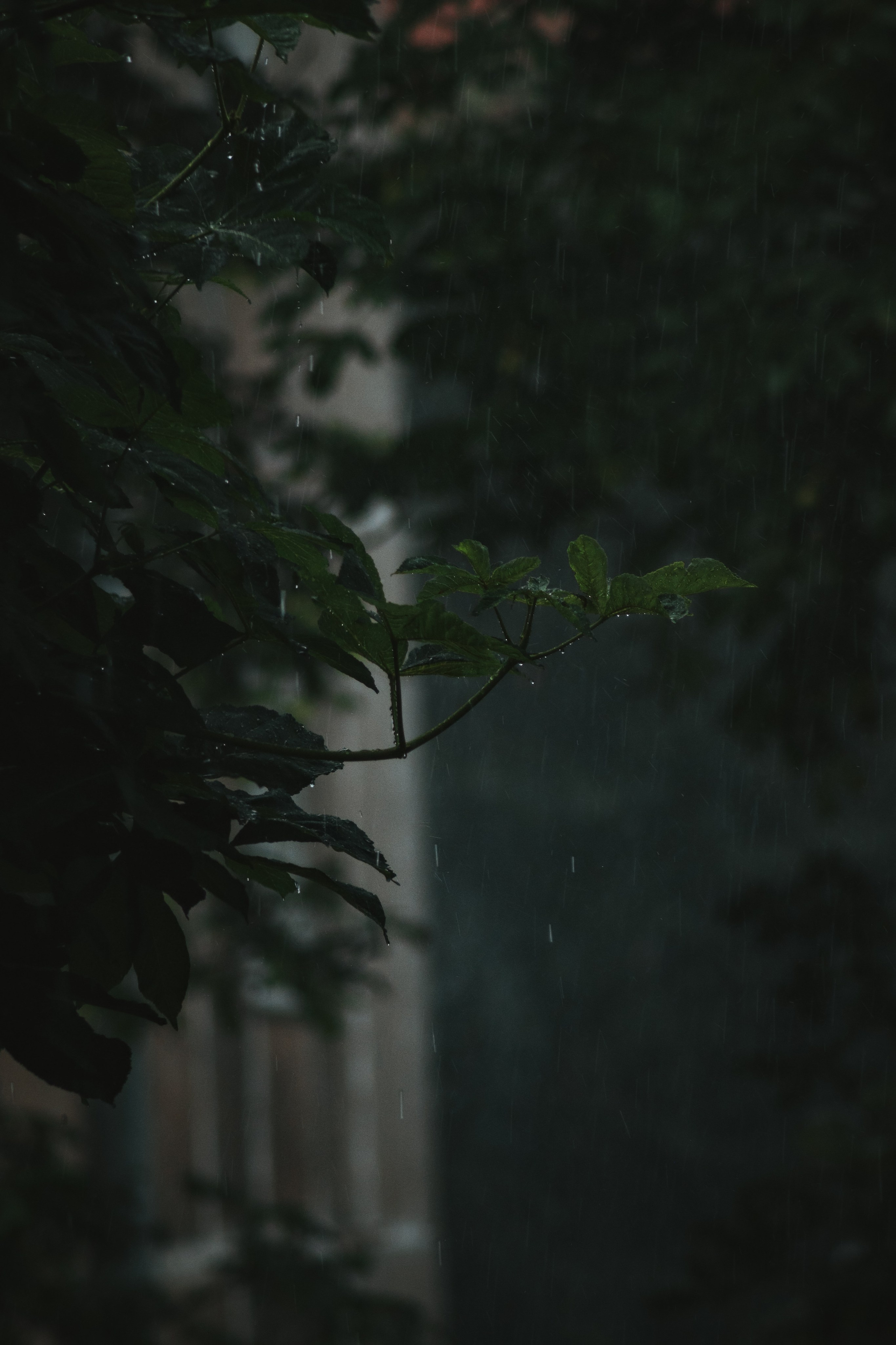 В О Д А. — Digital Noise —