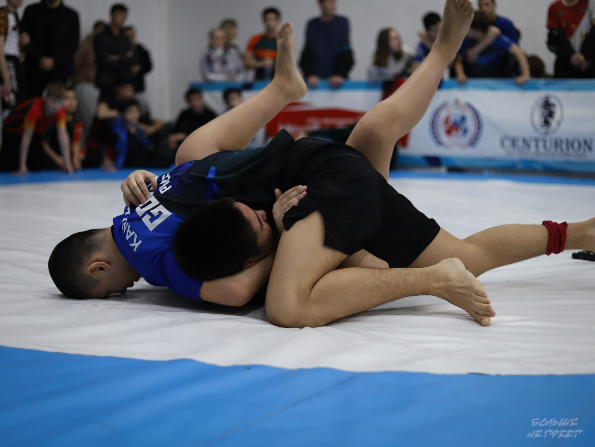 GORILLA PRIDE CUP. Больше не греет