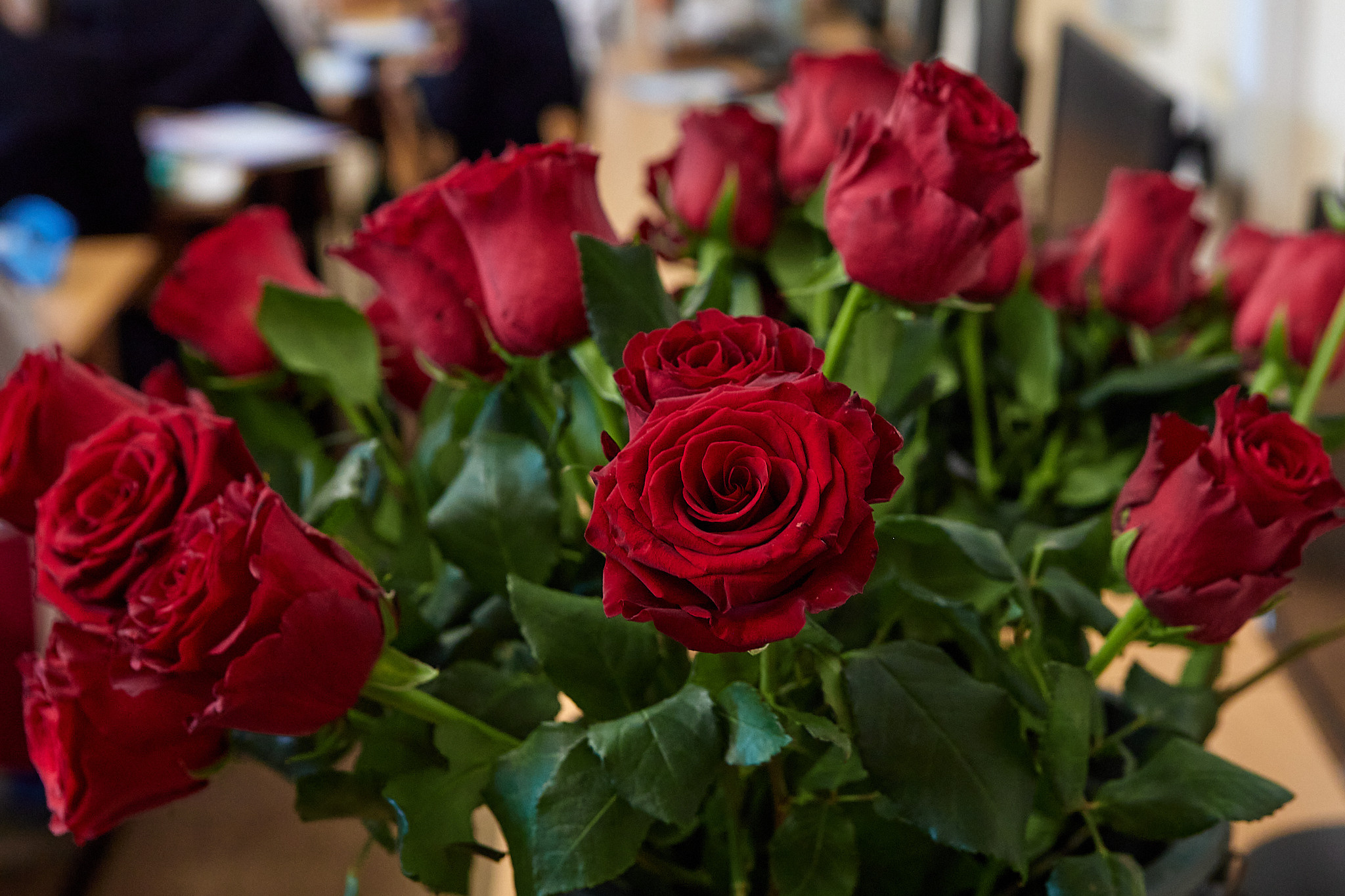 ШКОЛЬНЫЙ РЕПОРТАЖ. Фотограф в Севастополе Ольга Половкова