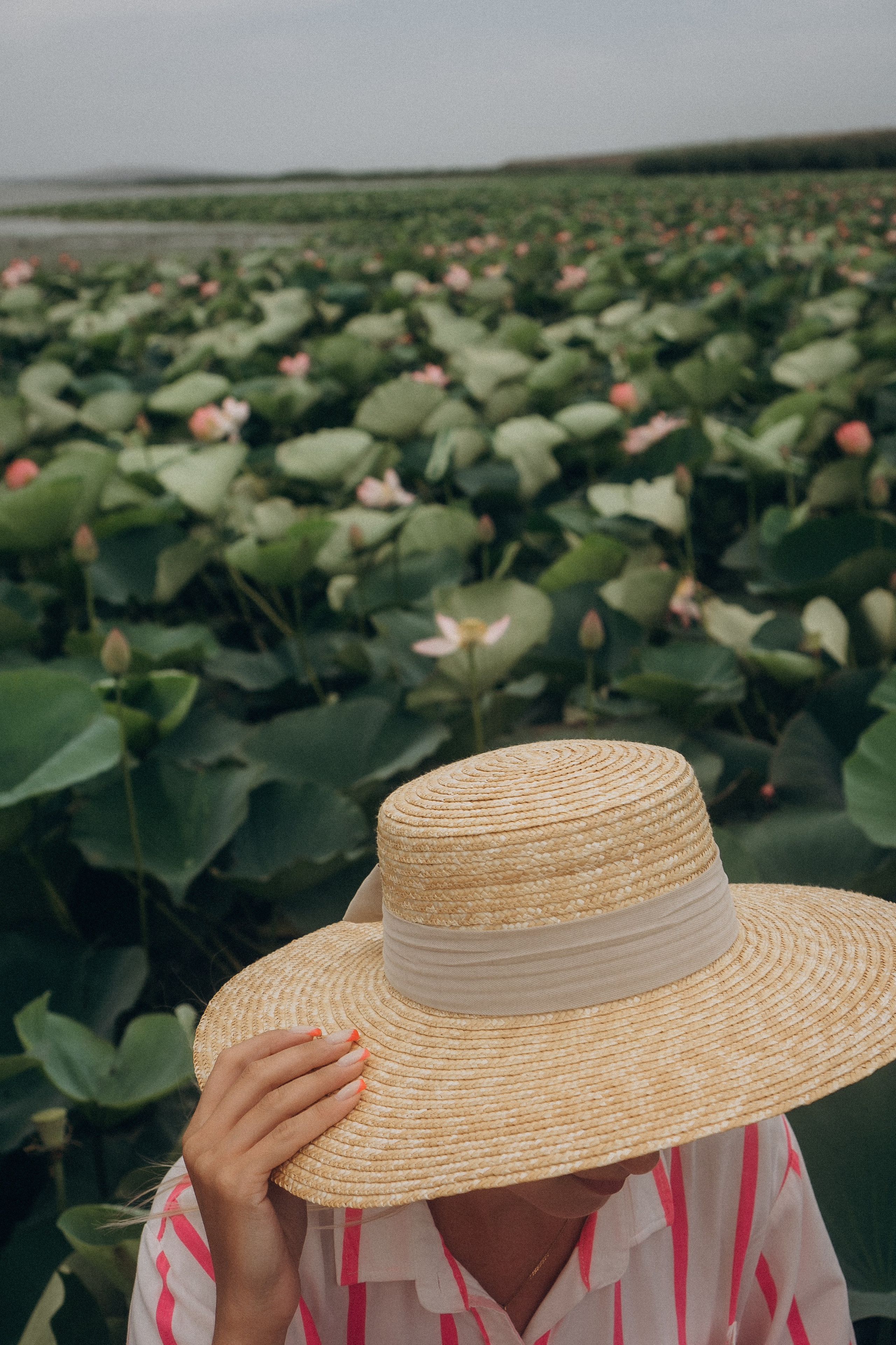 ЛОТОСОВАЯ ПОЛЯНА. Профессиональный фотограф, Санкт-Петербург — Виктория Богомолова