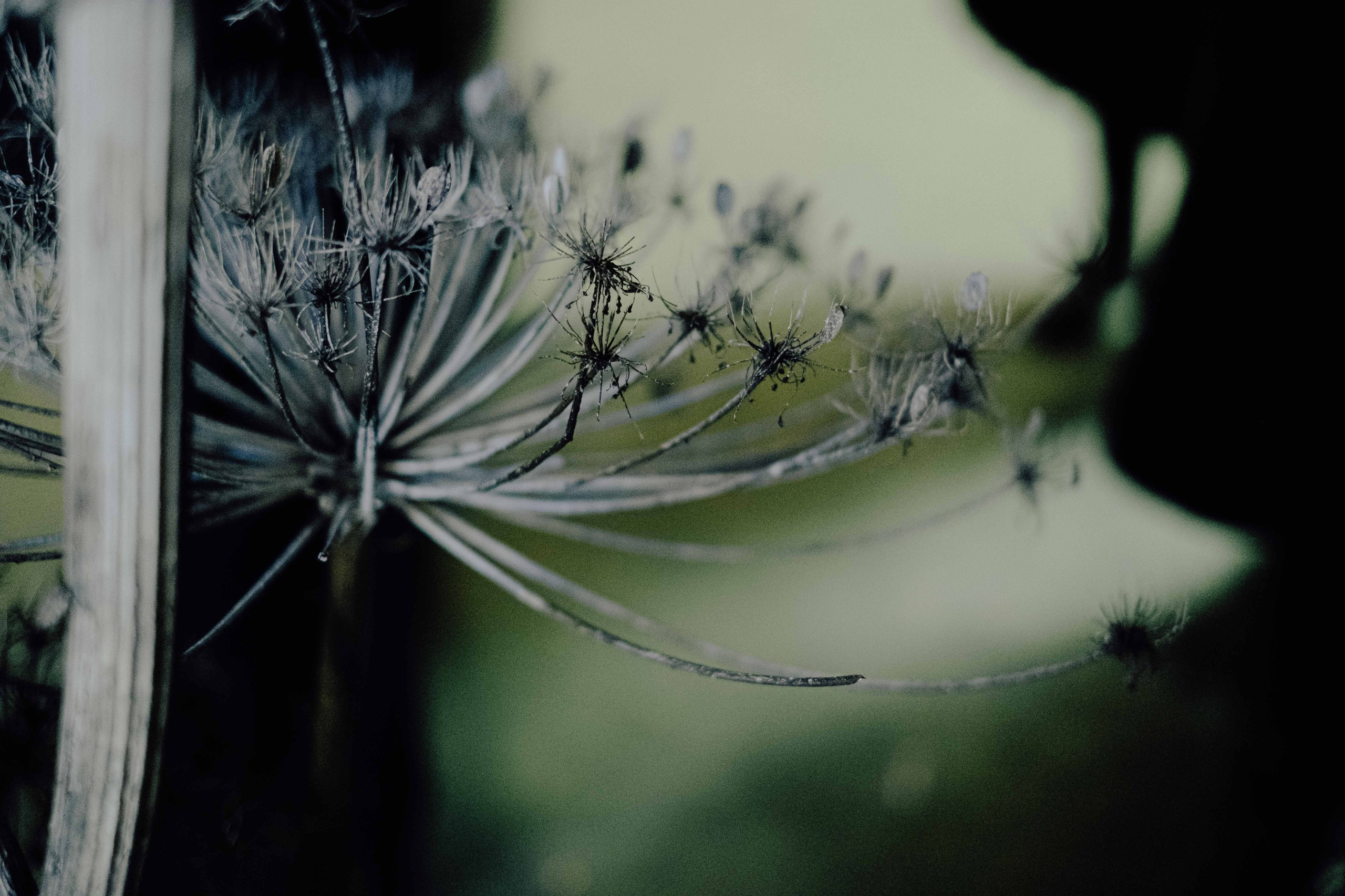 «52 герца». Фотограф Аннё| Москва