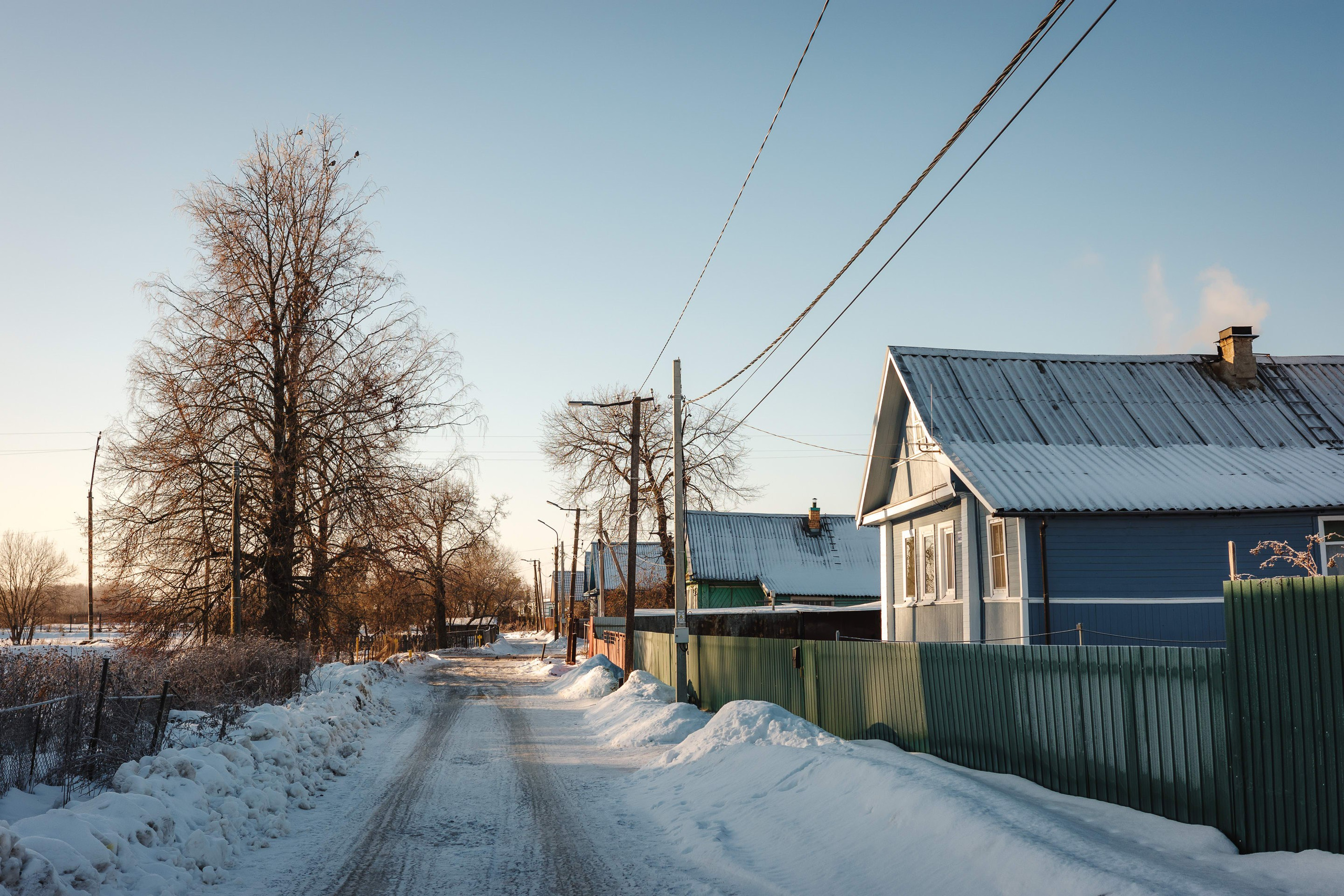 2024.01. Фотограф Алексей Алексеев