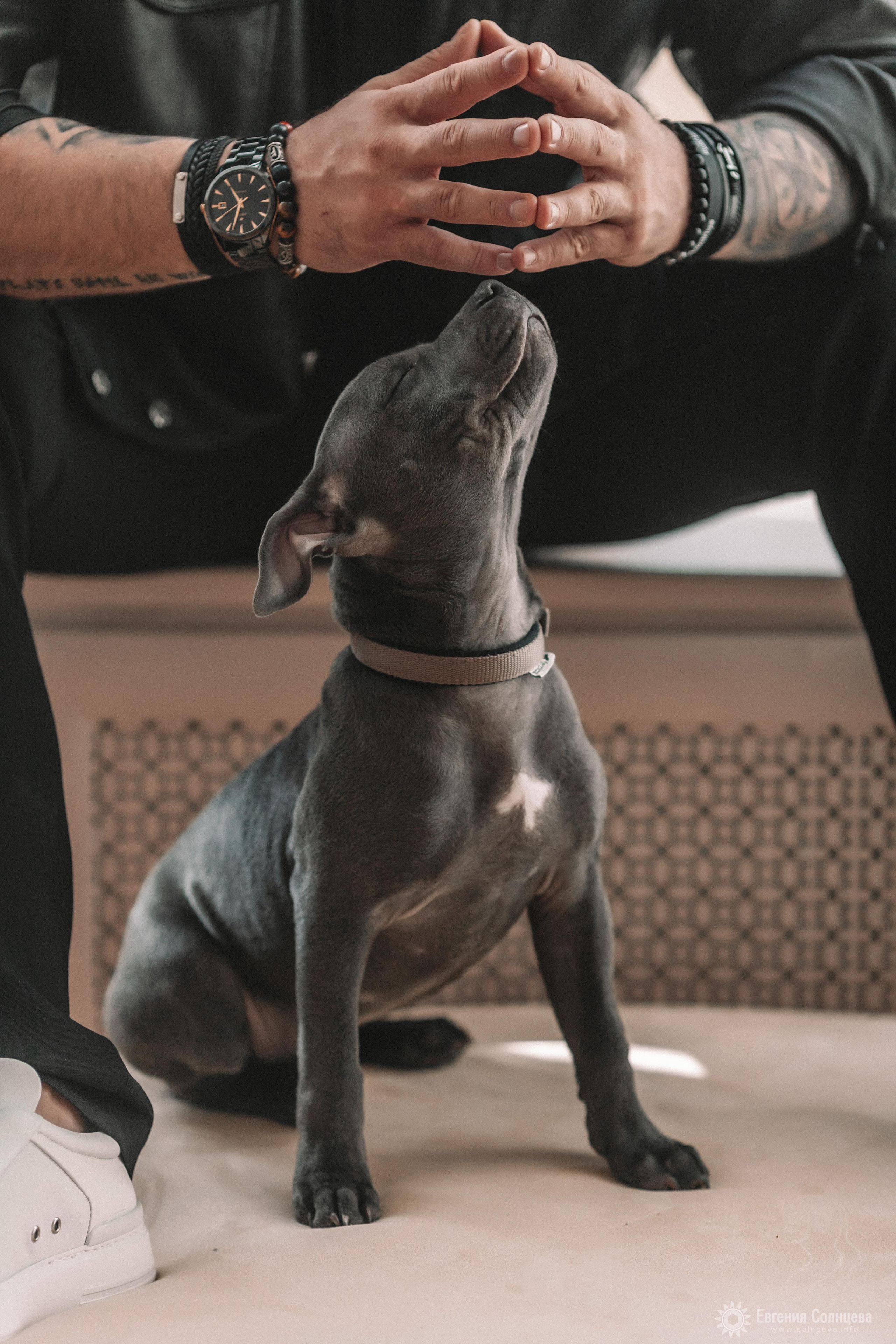 Свадебный фотограф - портфолио. Свадебные серии. Фотограф в Санкт-Петербурге, — Евгения Солнцева