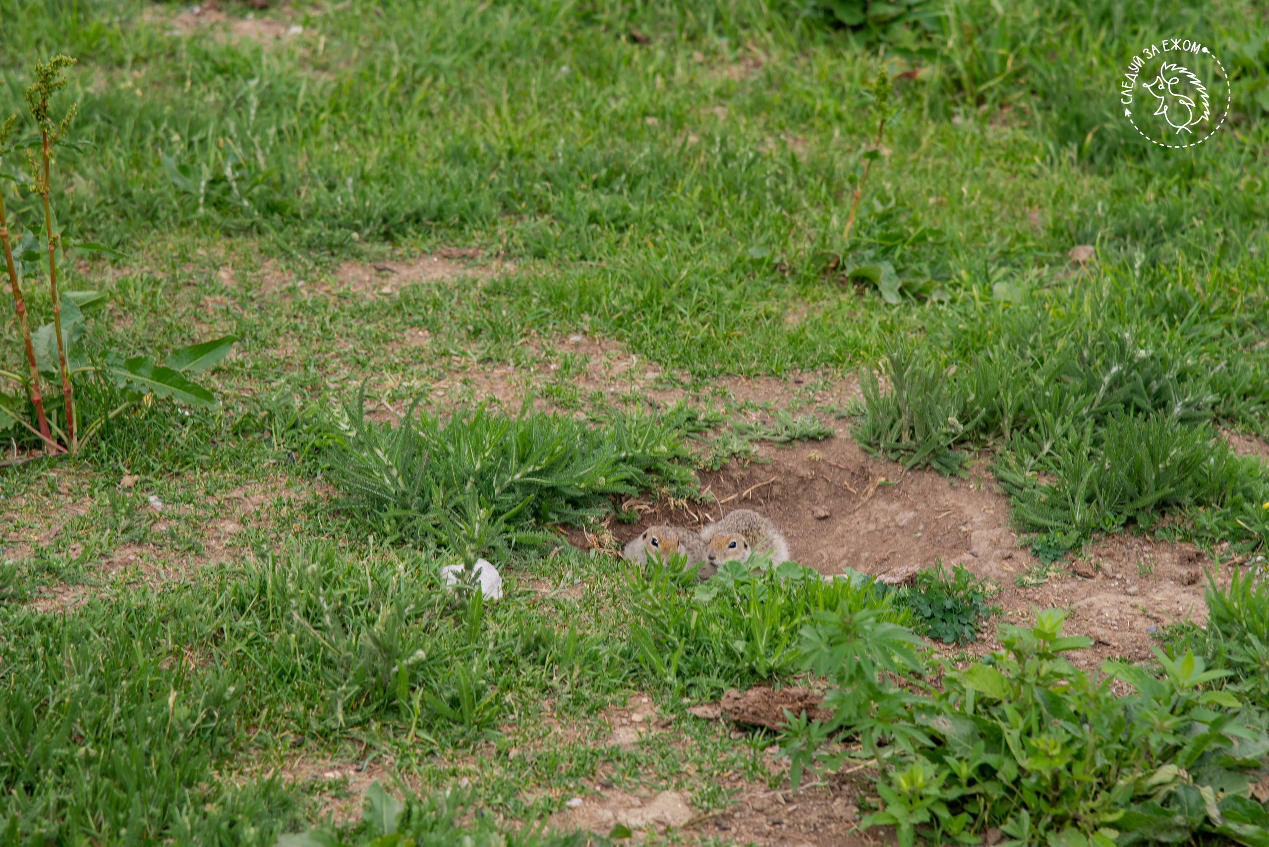 Тур в Чегем. Фотограф Галина Нестерова