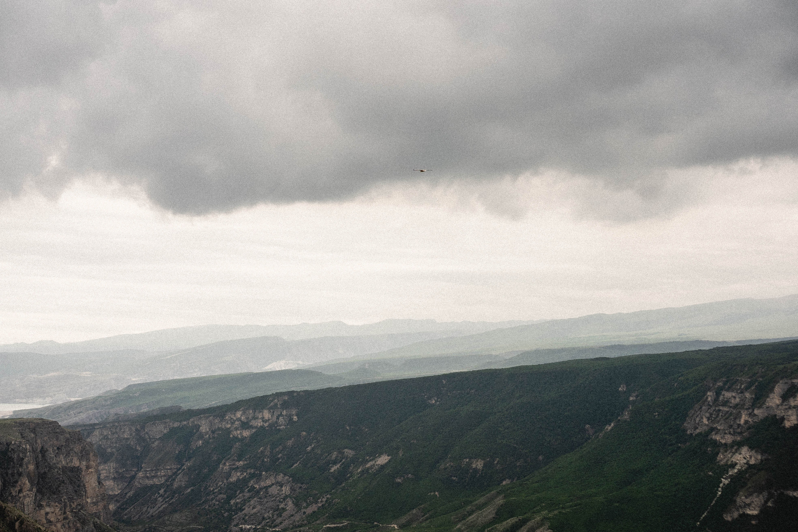 Кавказ. Профессиональный фотограф, Санкт-Петербург — Виктория Богомолова