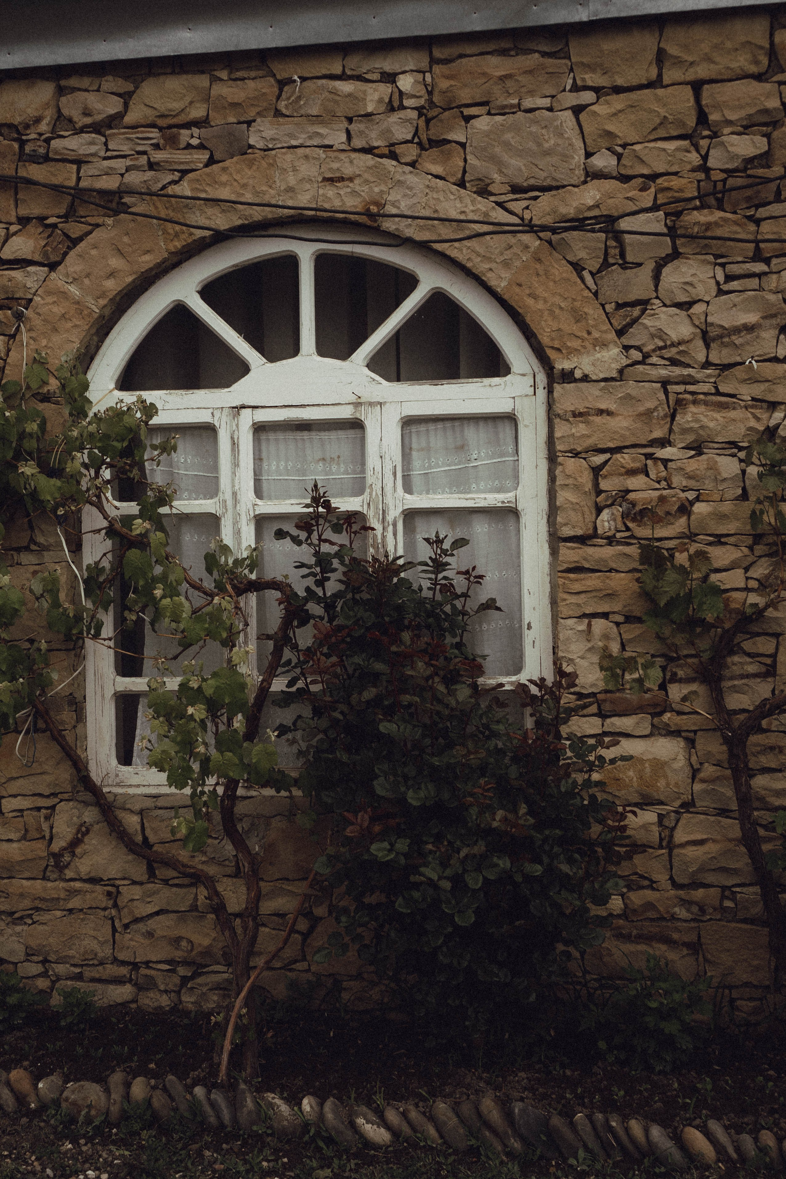 Кавказ. Профессиональный фотограф, Санкт-Петербург — Виктория Богомолова