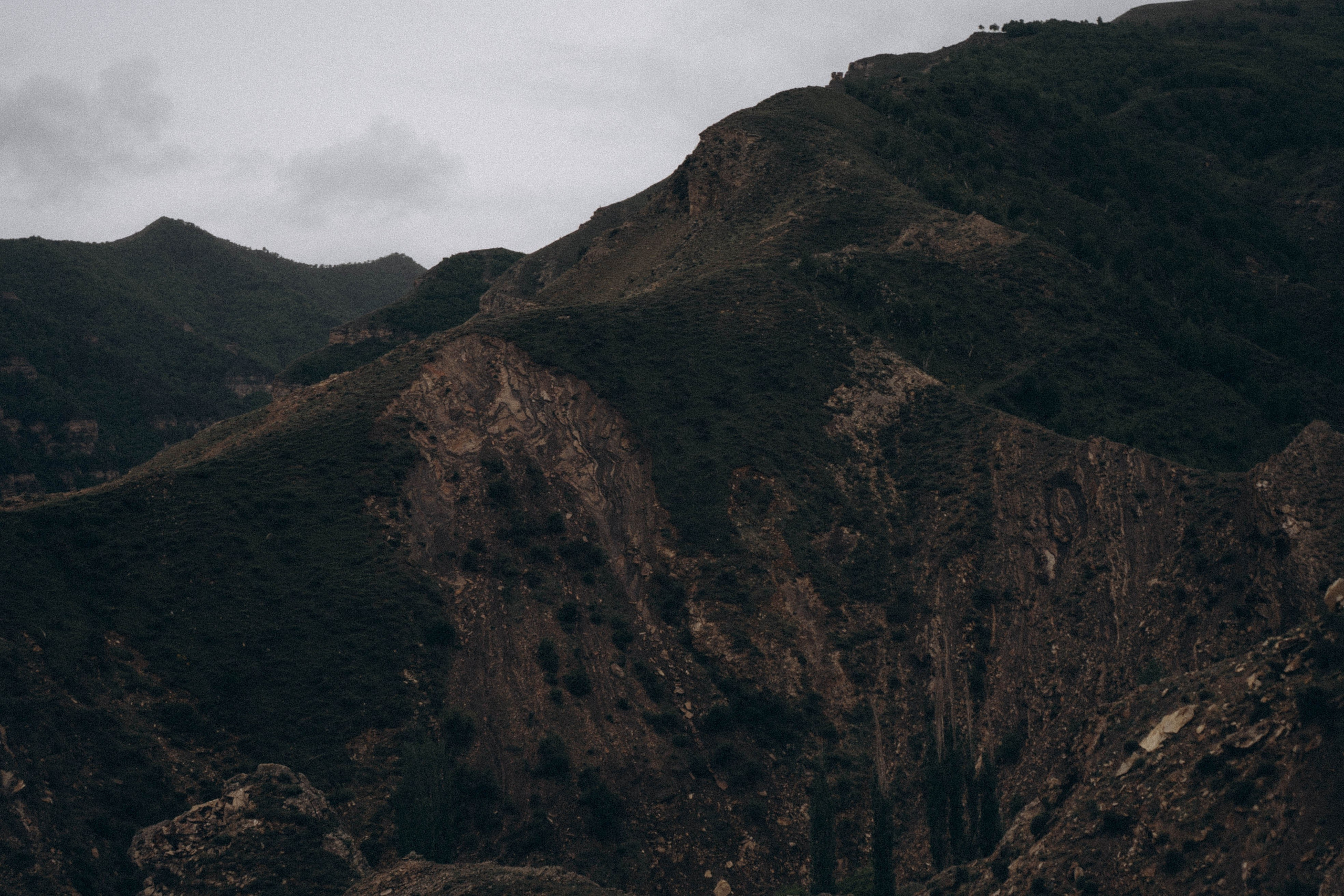 Кавказ. Профессиональный фотограф, Санкт-Петербург — Виктория Богомолова