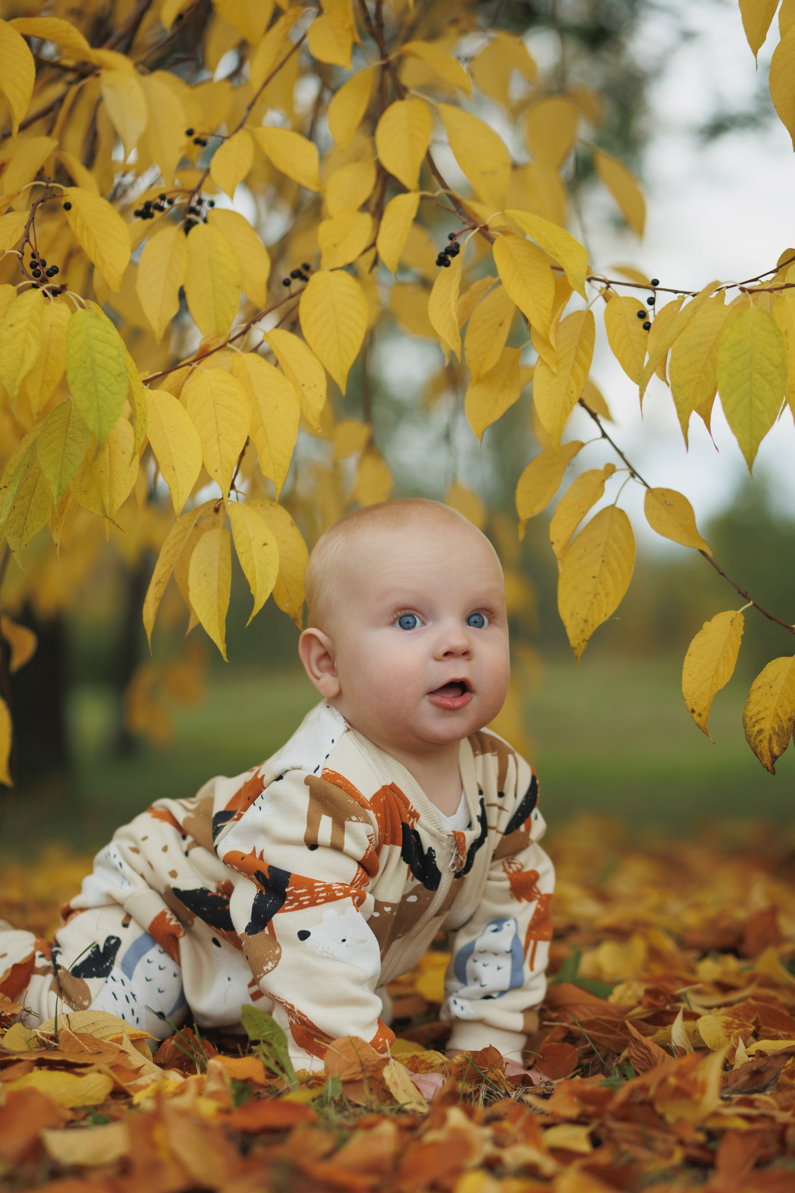 Семейная. Свадебный фотограф Красноярск — Кристина Ива