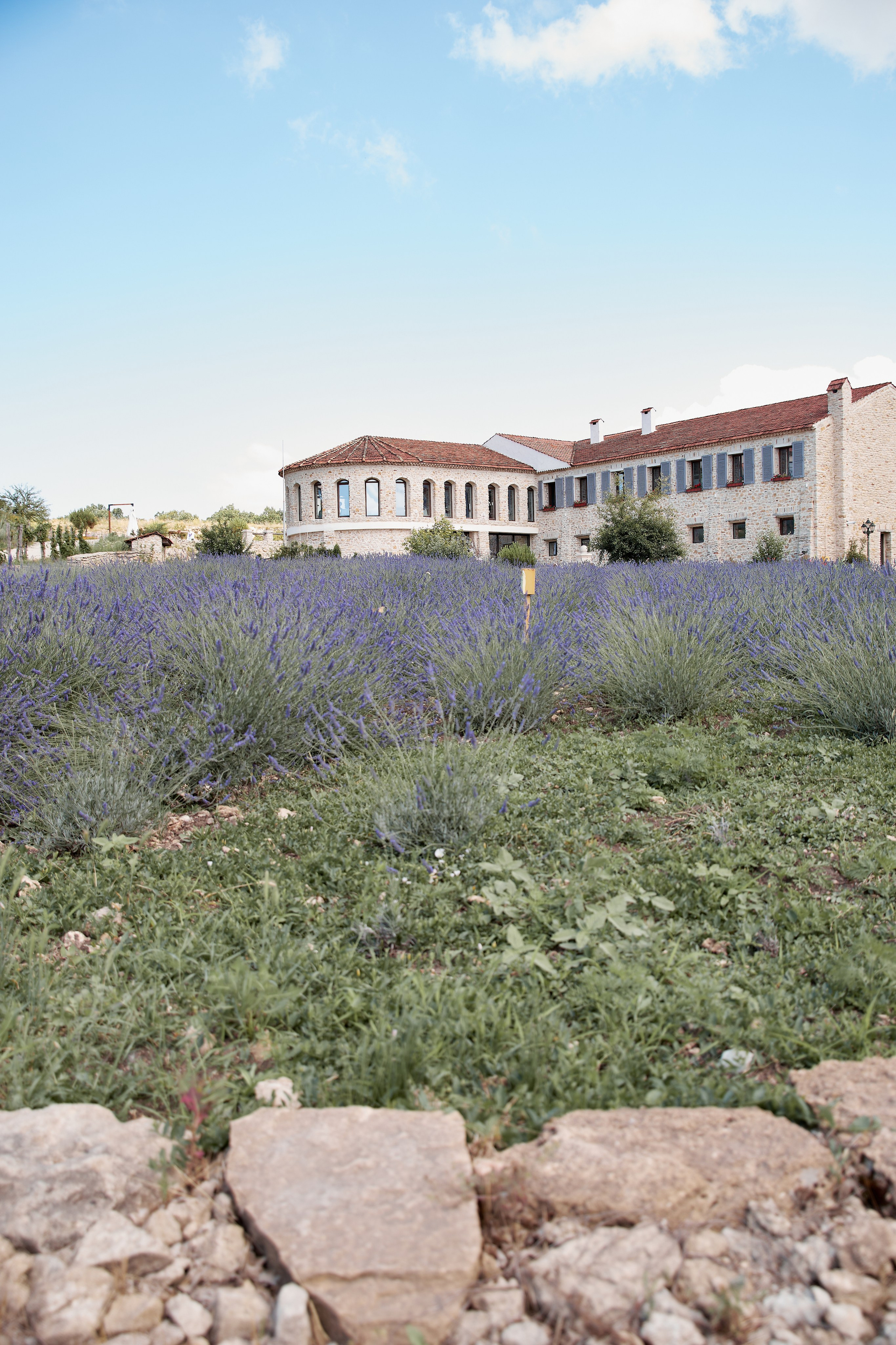 ОДНА ВИНОДЕЛЬНЯ. Репортажный и мужской фотограф в Краснодаре. Фотограф в Краснодаре