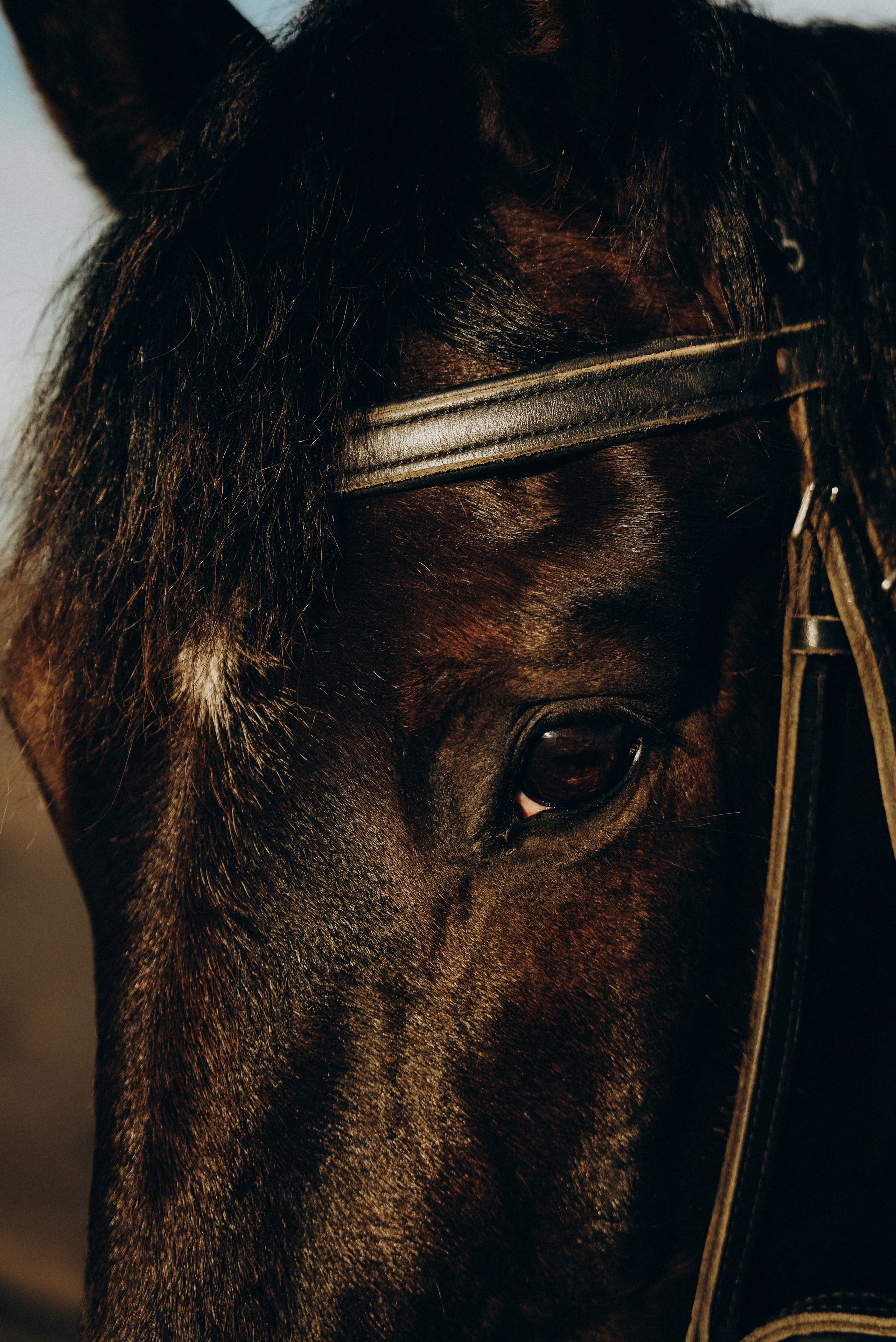 Индивидуальные. Фотограф на Камчатке Воронина Ульяна