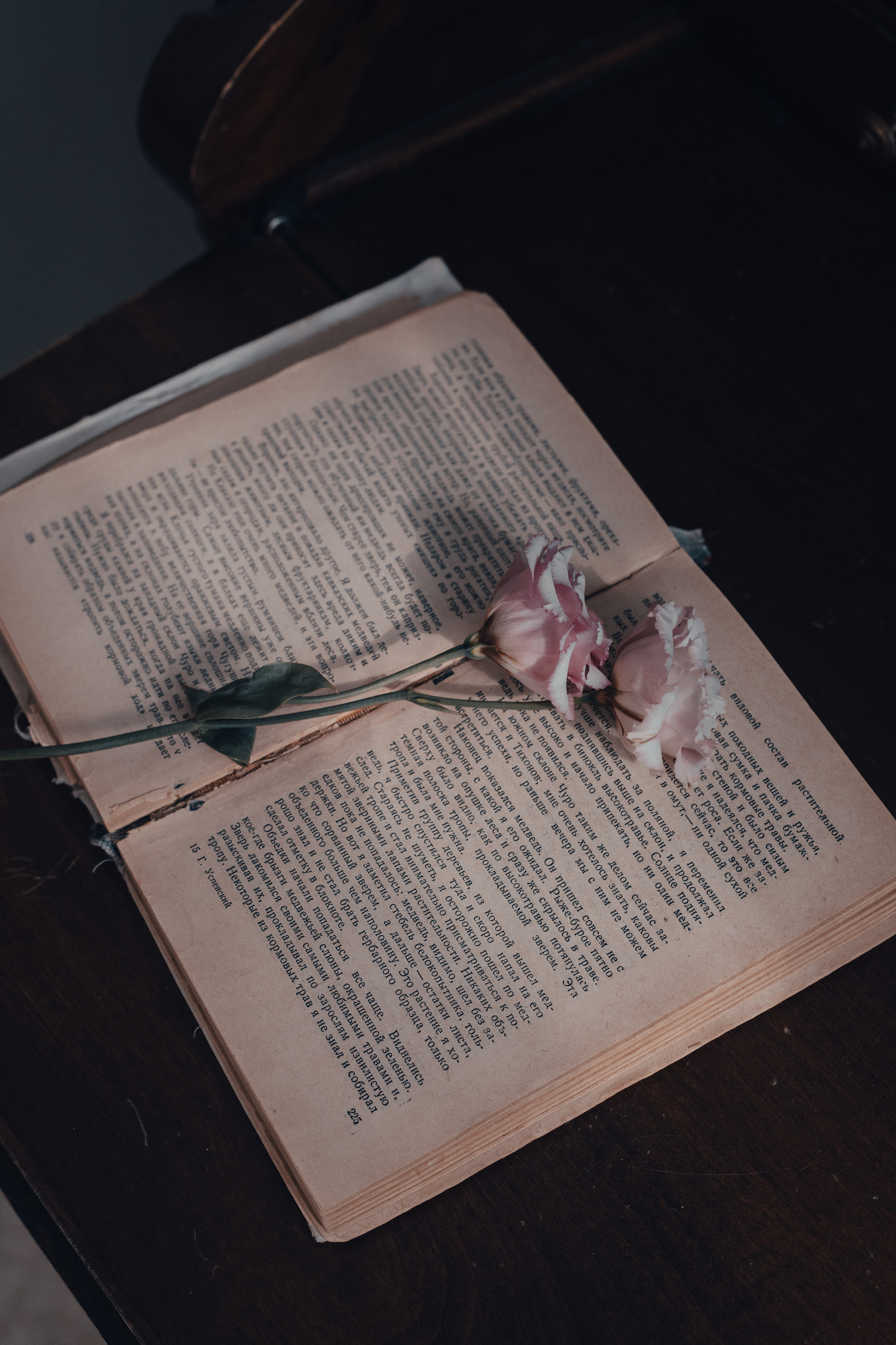 Фотосессия с живой флористикой в винтажном стиле в студии