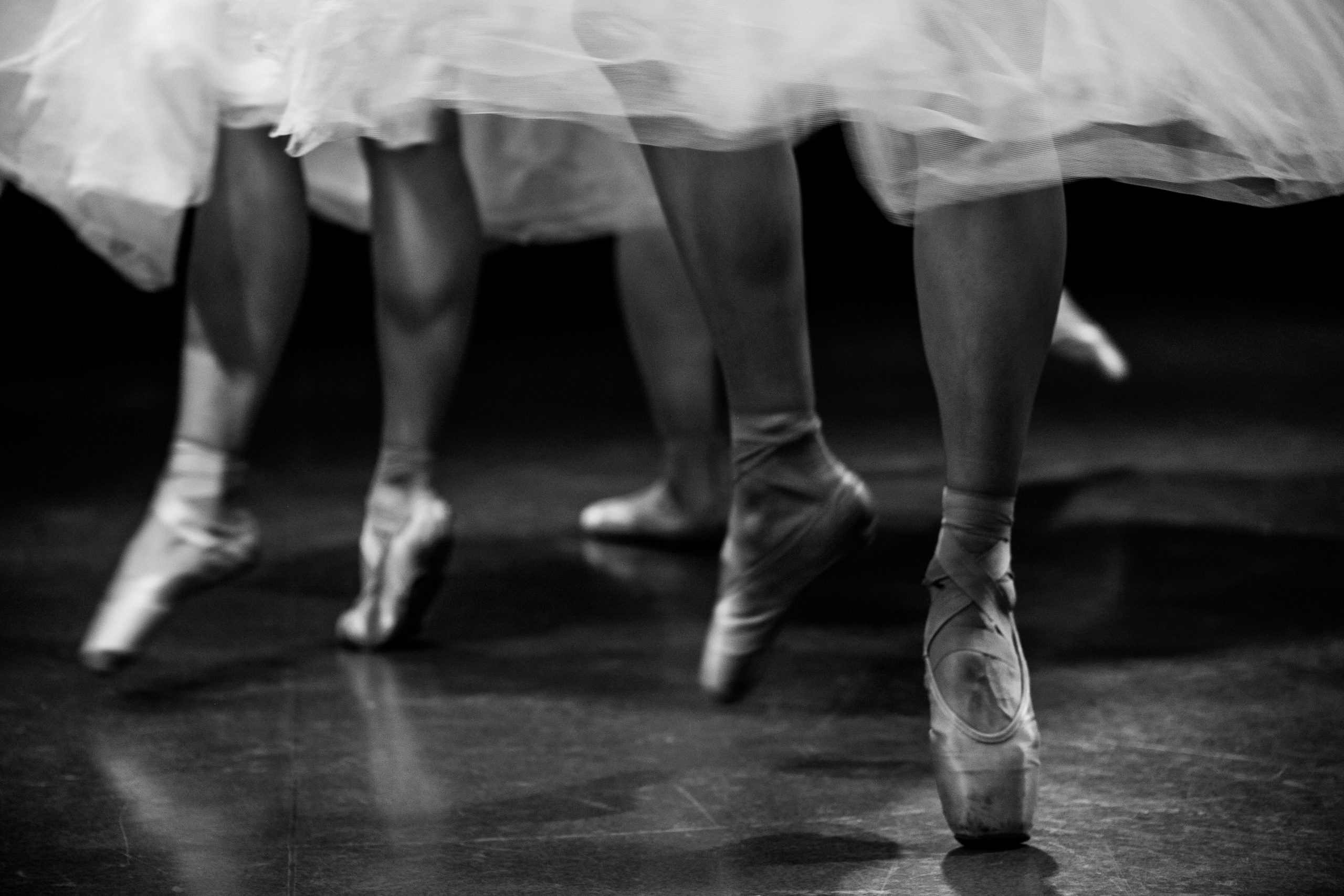 репортаж, фотограф, фоторепортаж, фотограф москва